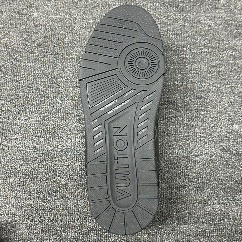 LOUIS VUITTON BOARD SKATES black