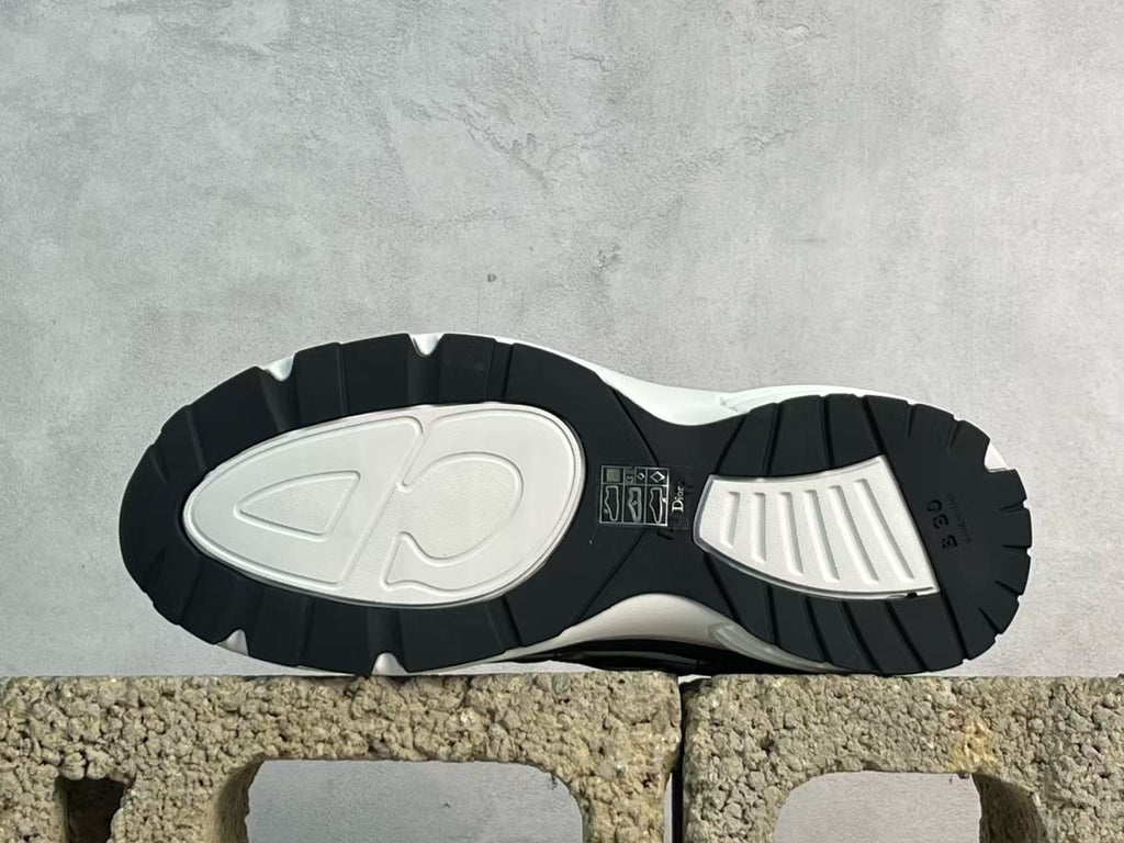 DIOR B30 Black and white