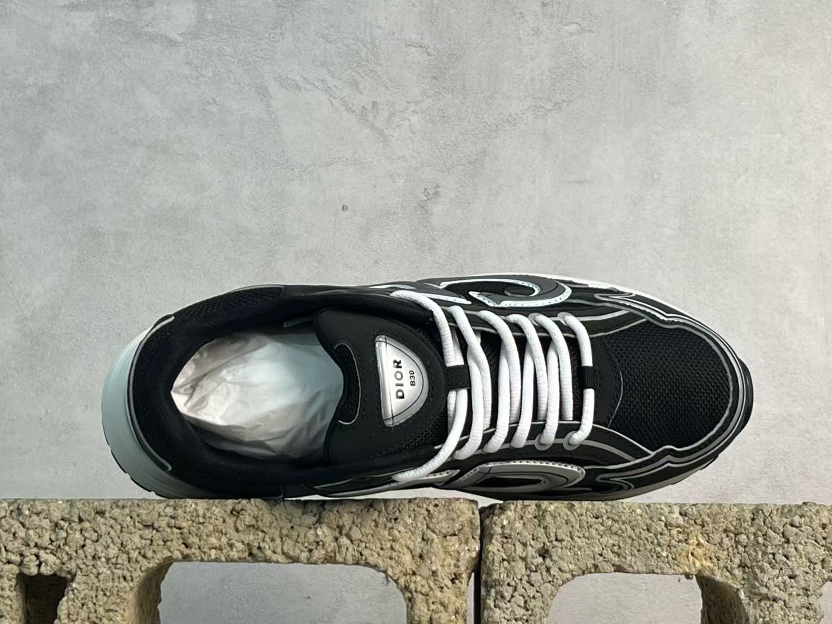 DIOR B30 Black and white