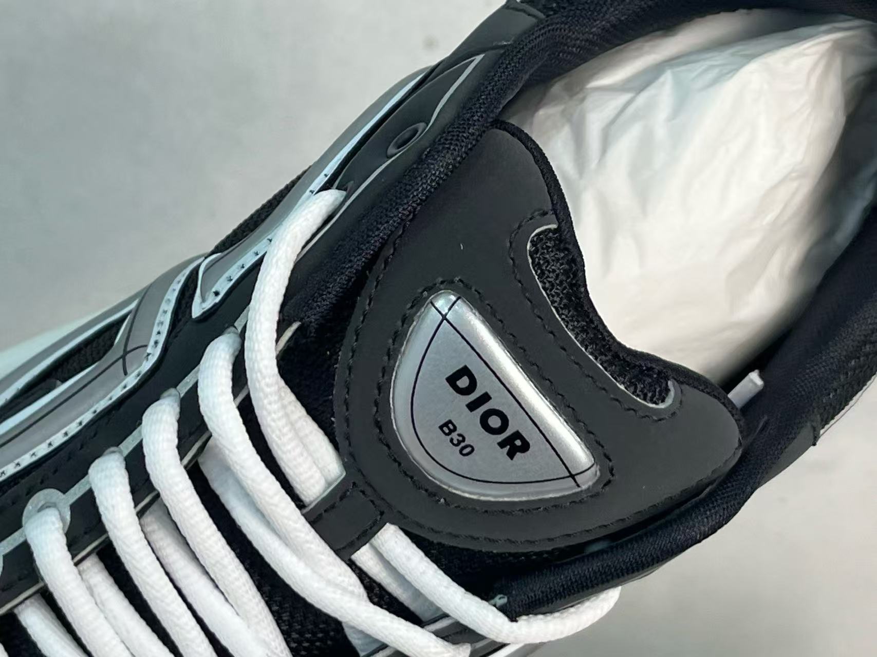 DIOR B30 Black and white