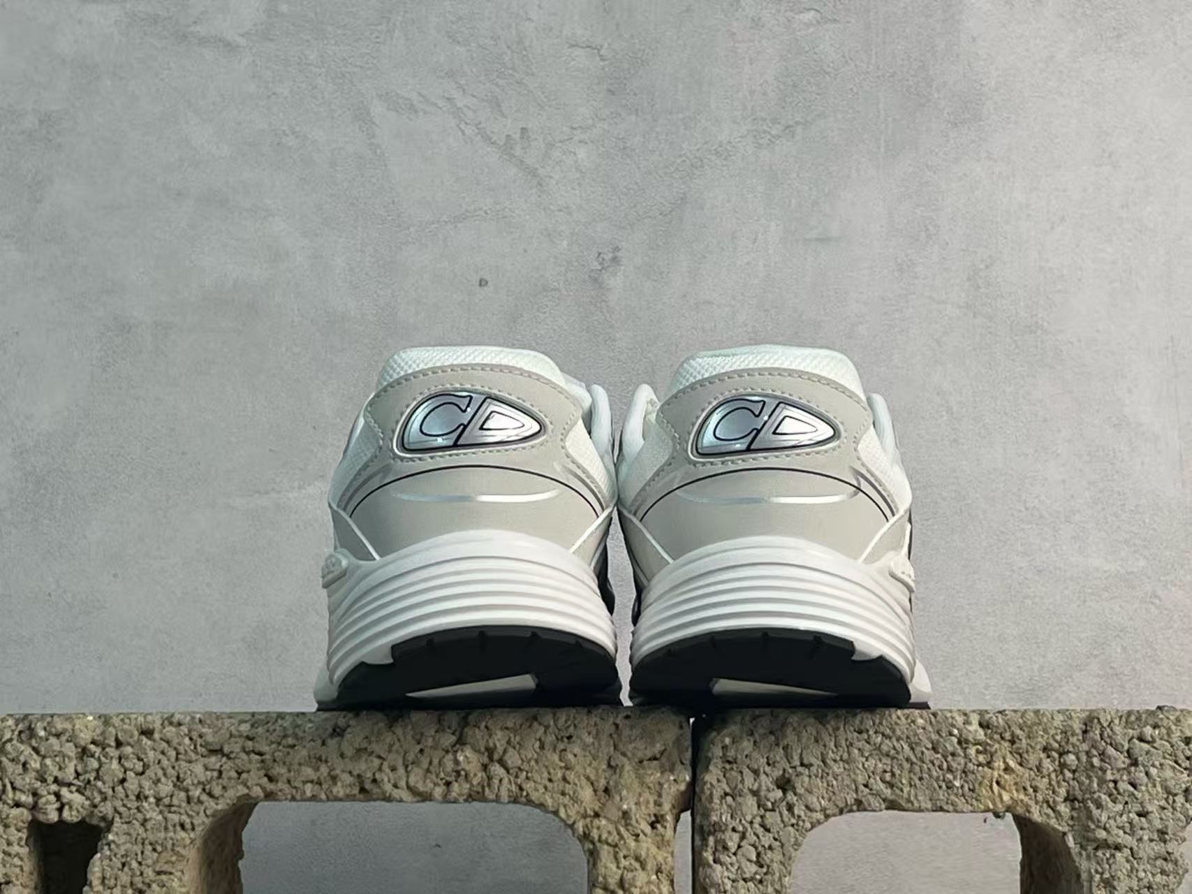 DIOR B30 white