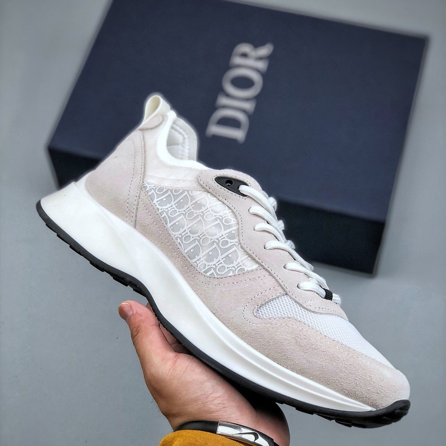 DIOR B25 White light brown