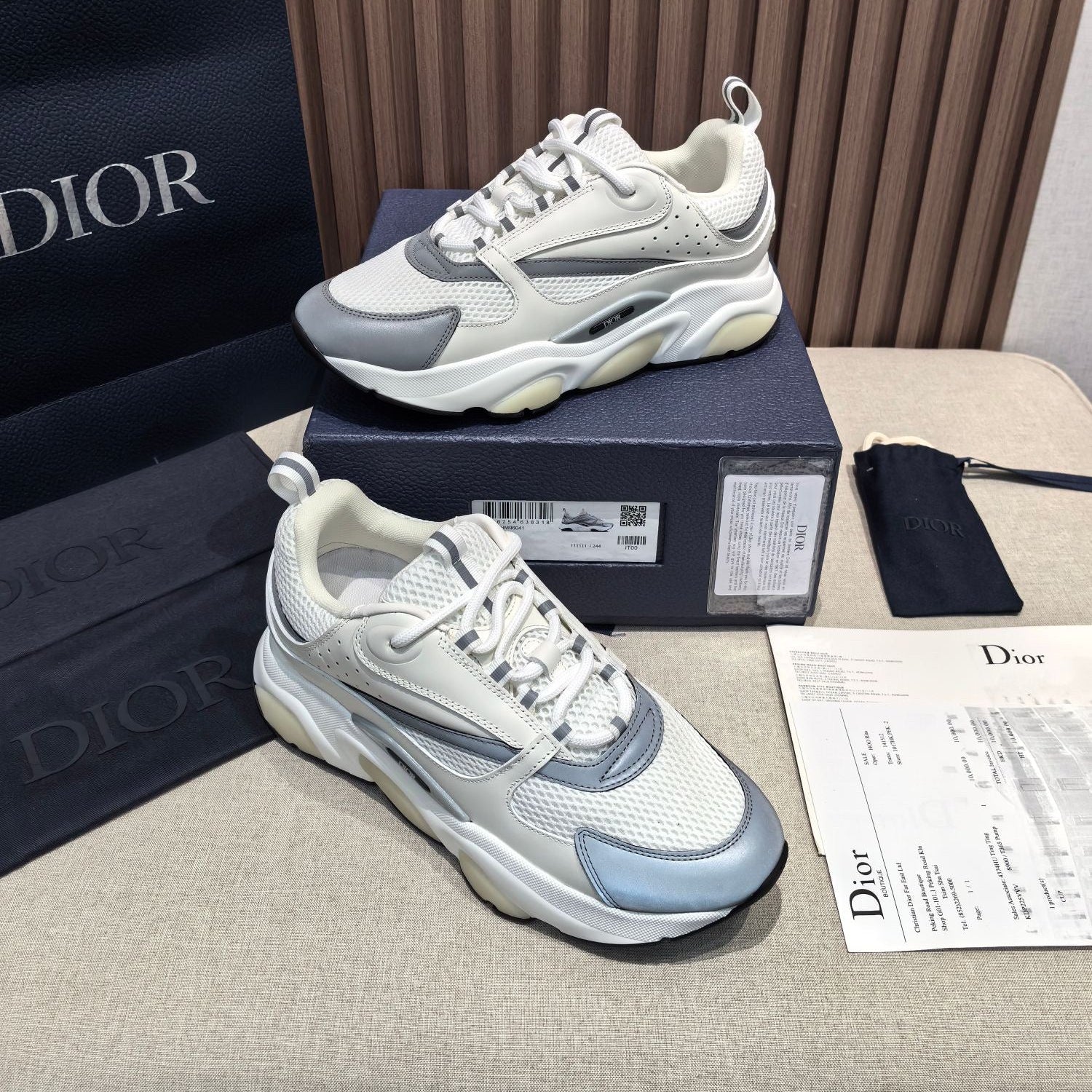 DIOR B22 white and blue