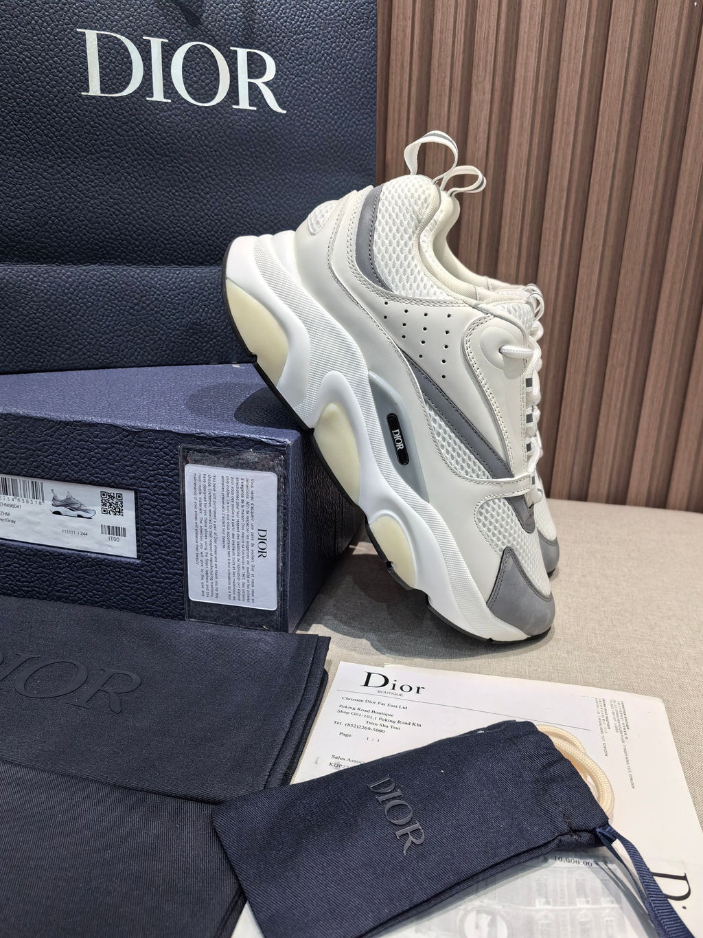 DIOR B22 white and blue