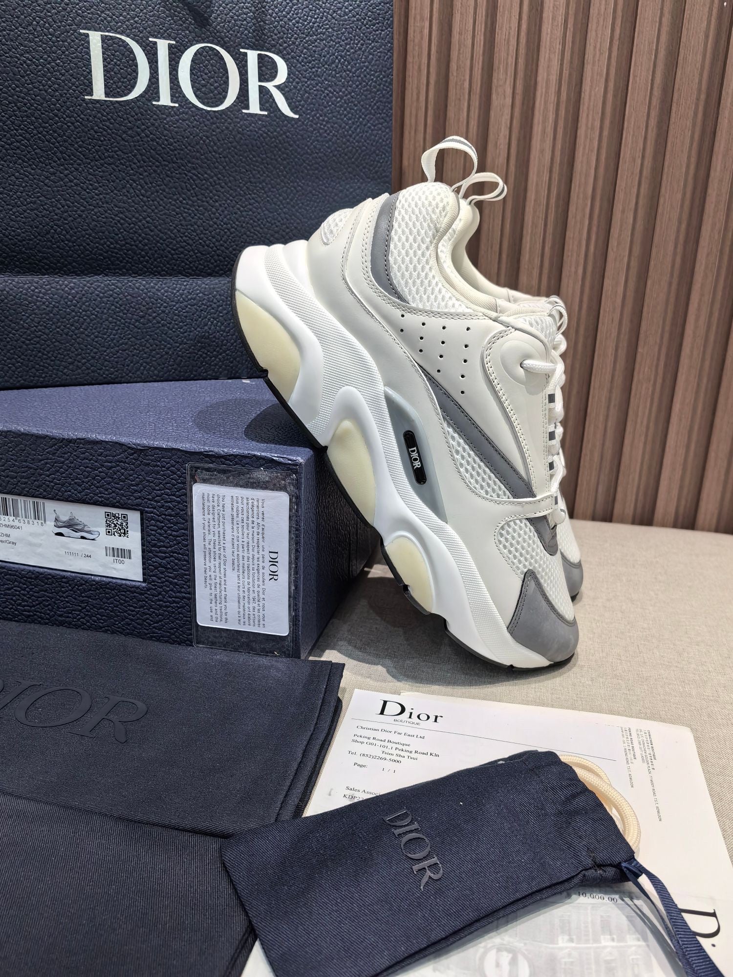 DIOR B22 white and blue