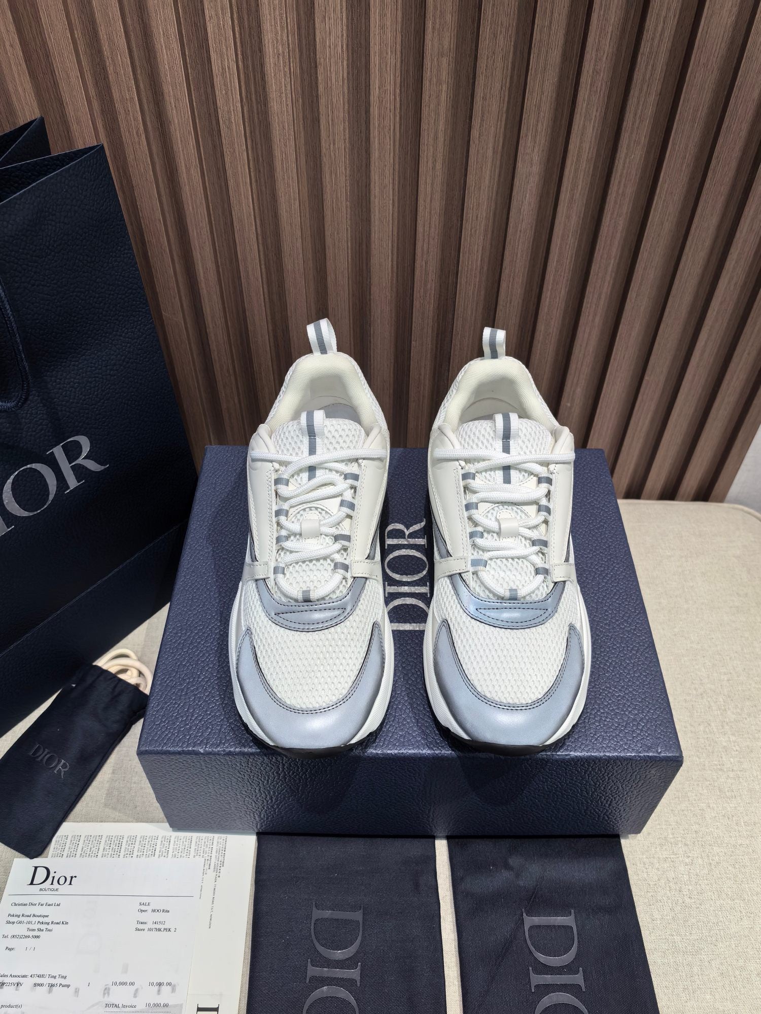 DIOR B22 white and blue