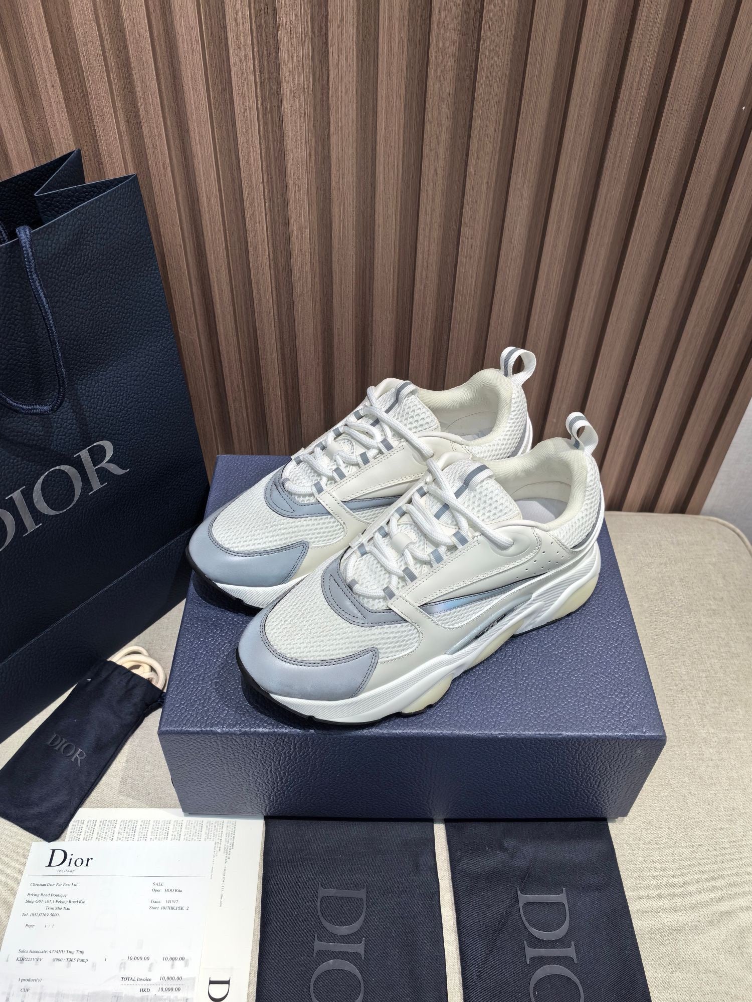 DIOR B22 white and blue