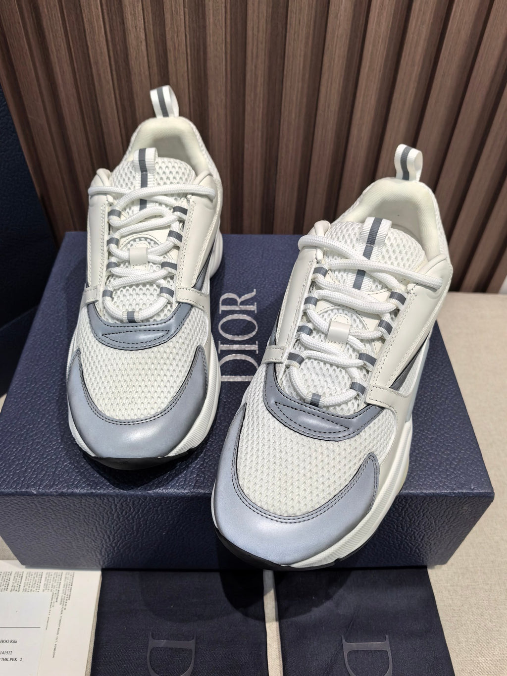 DIOR B22 white and blue