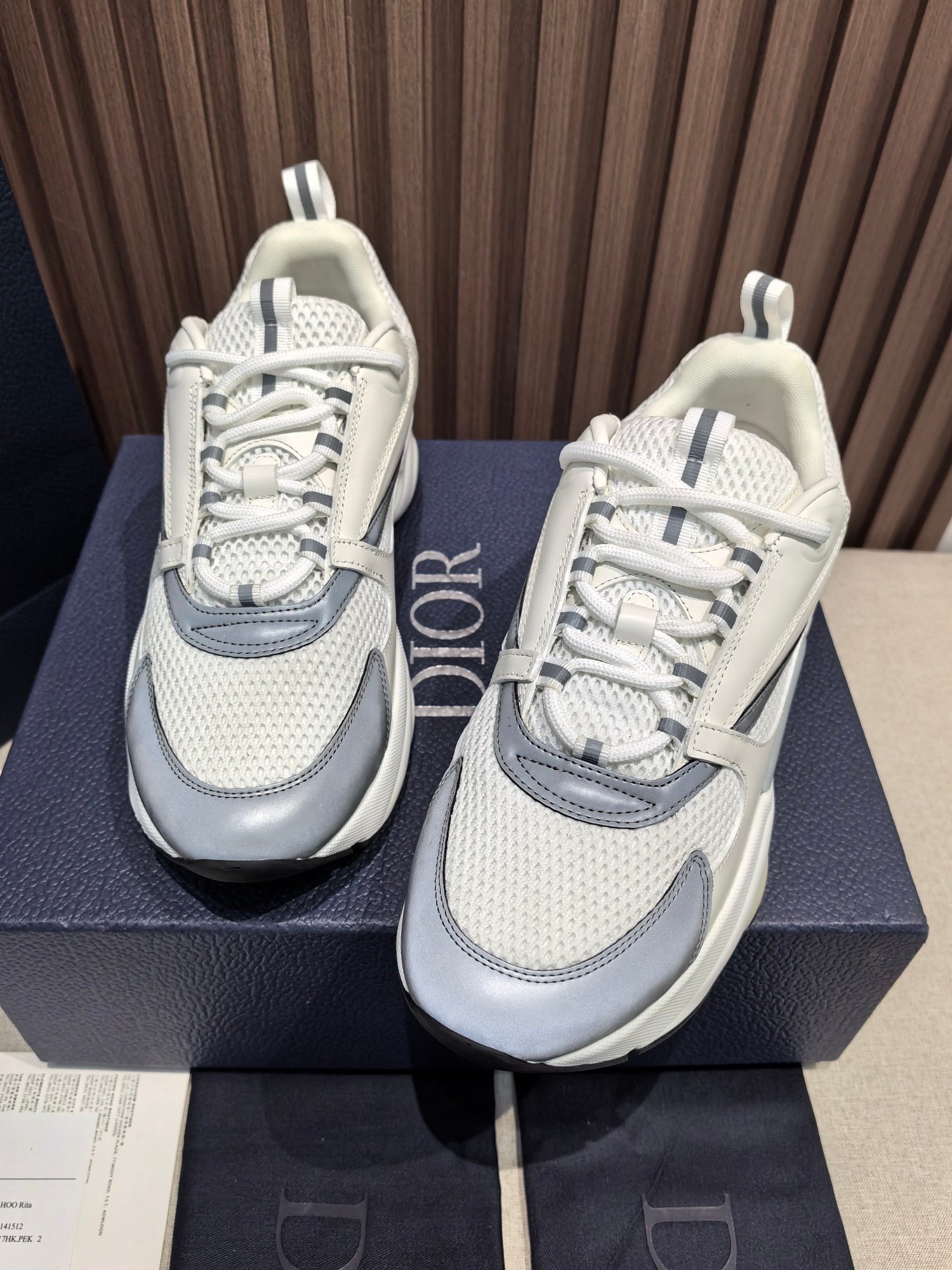 DIOR B22 white and blue