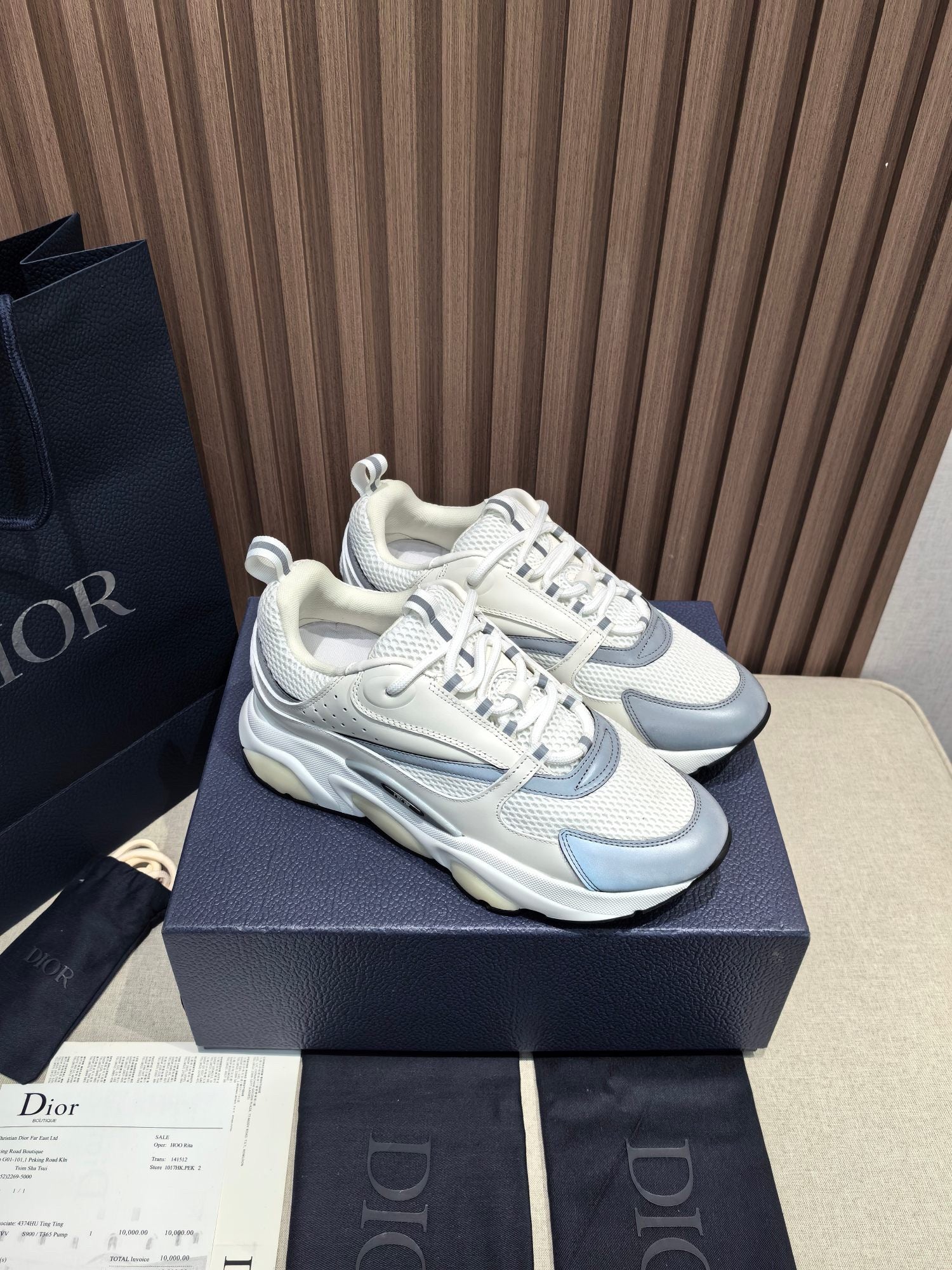 DIOR B22 white and blue