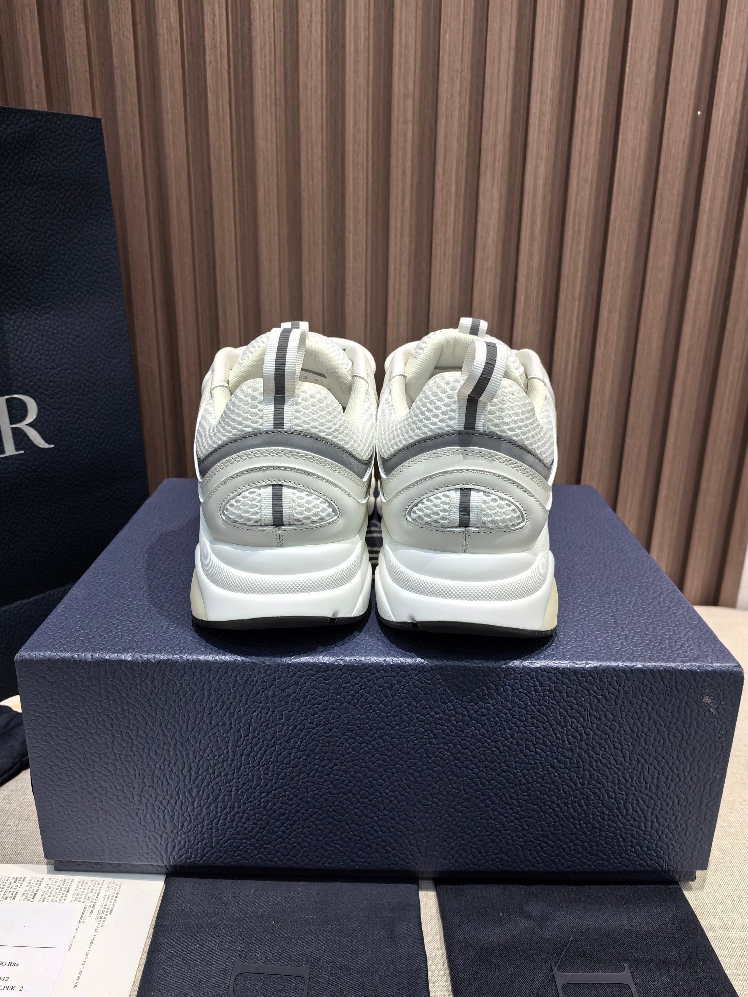 DIOR B22 white and blue
