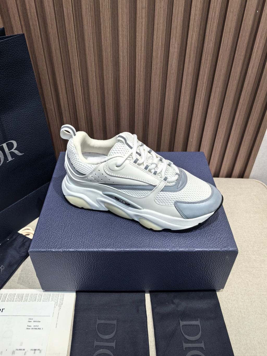 DIOR B22 white and blue