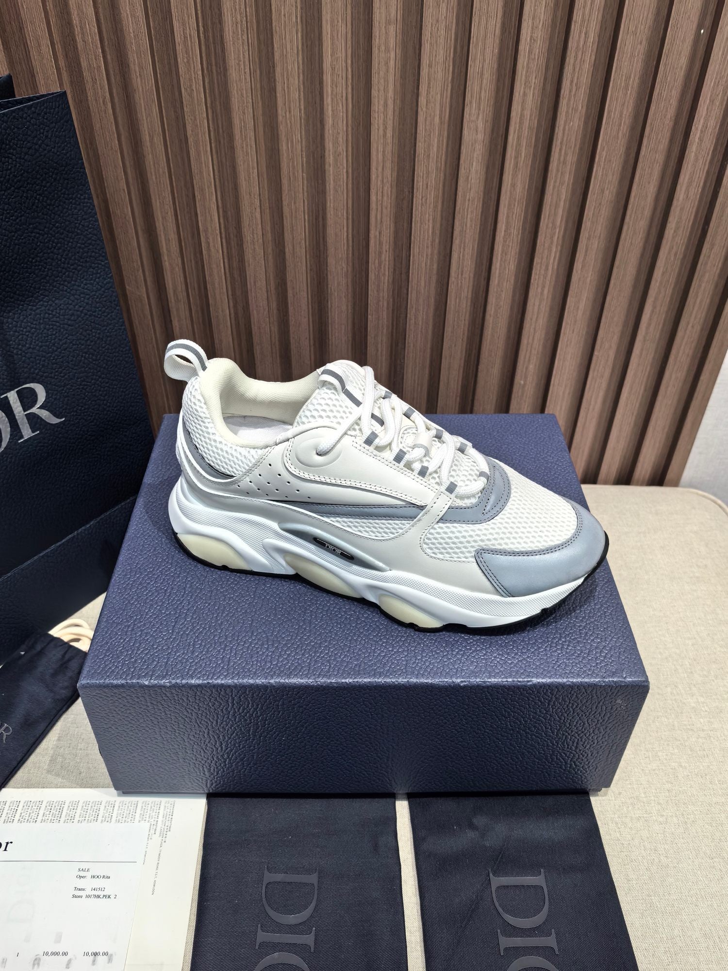 DIOR B22 white and blue