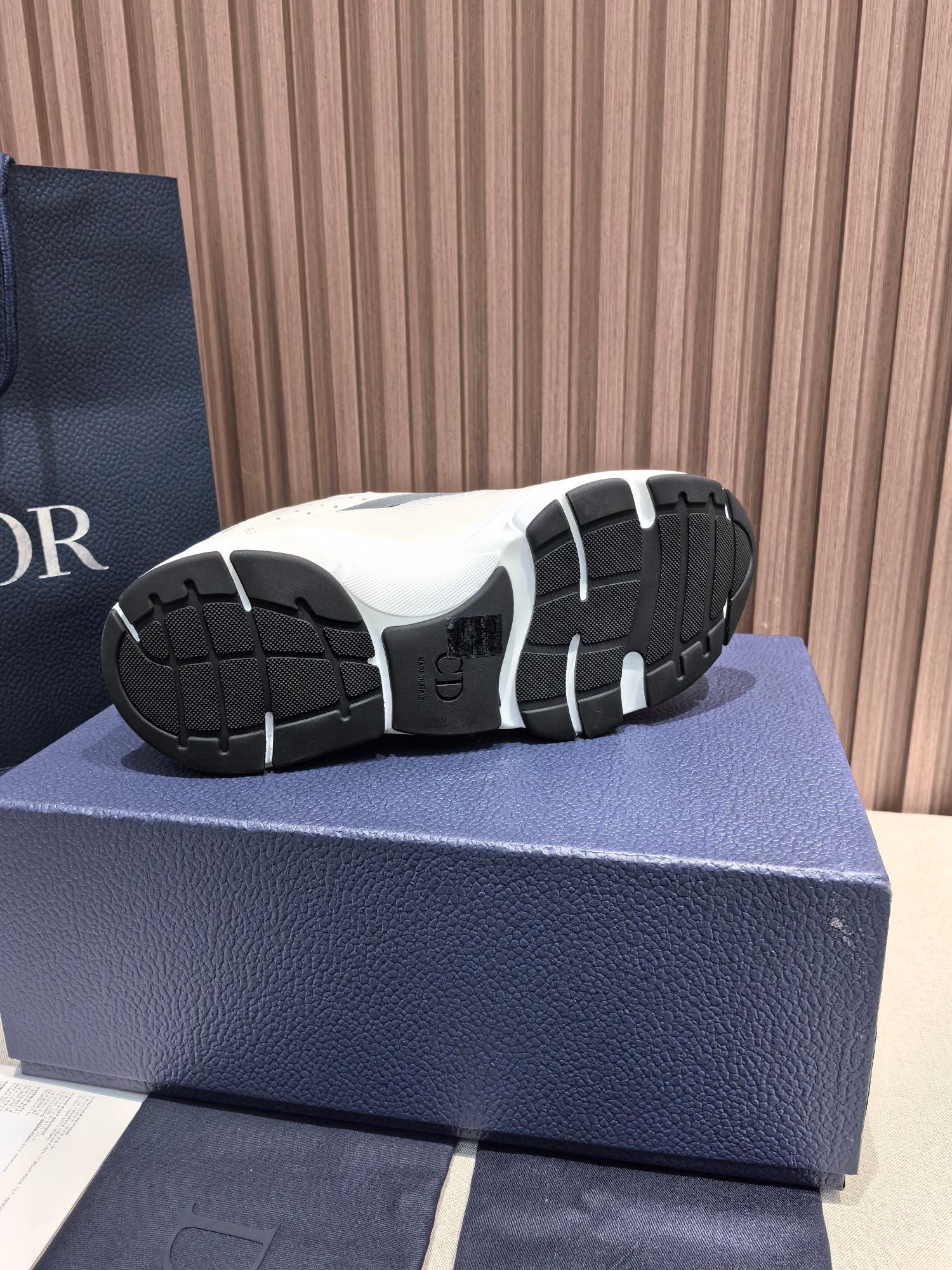 DIOR B22 white and blue