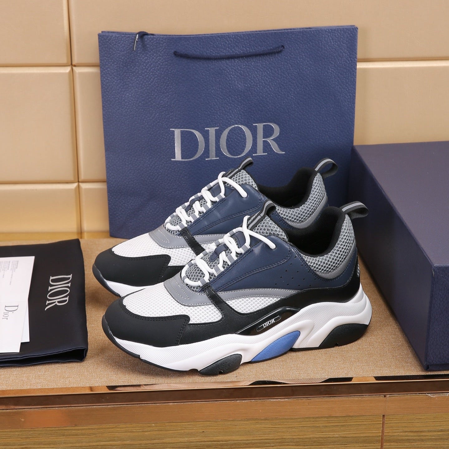 DIOR B22 White Black Blue