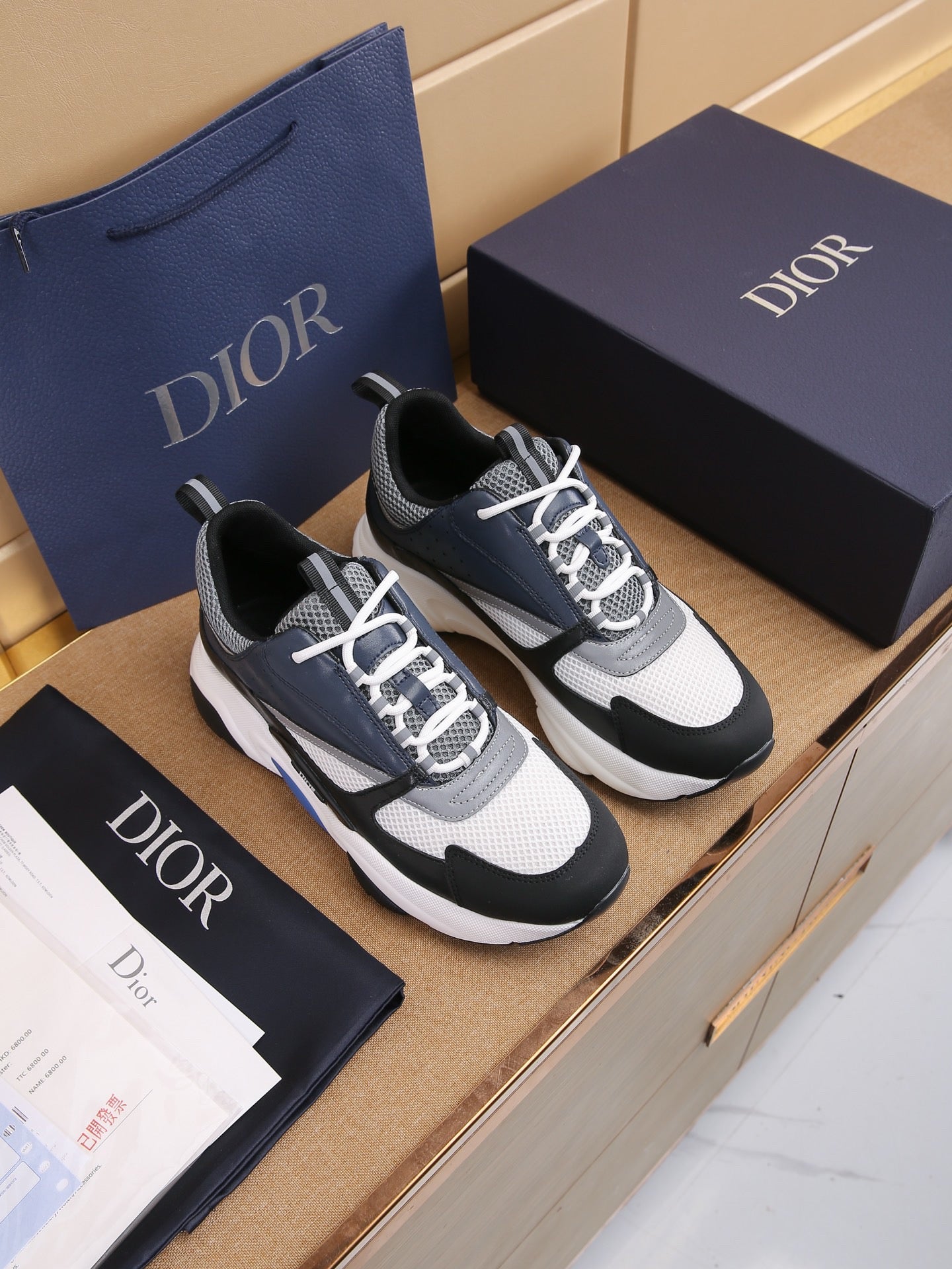 DIOR B22 White Black Blue