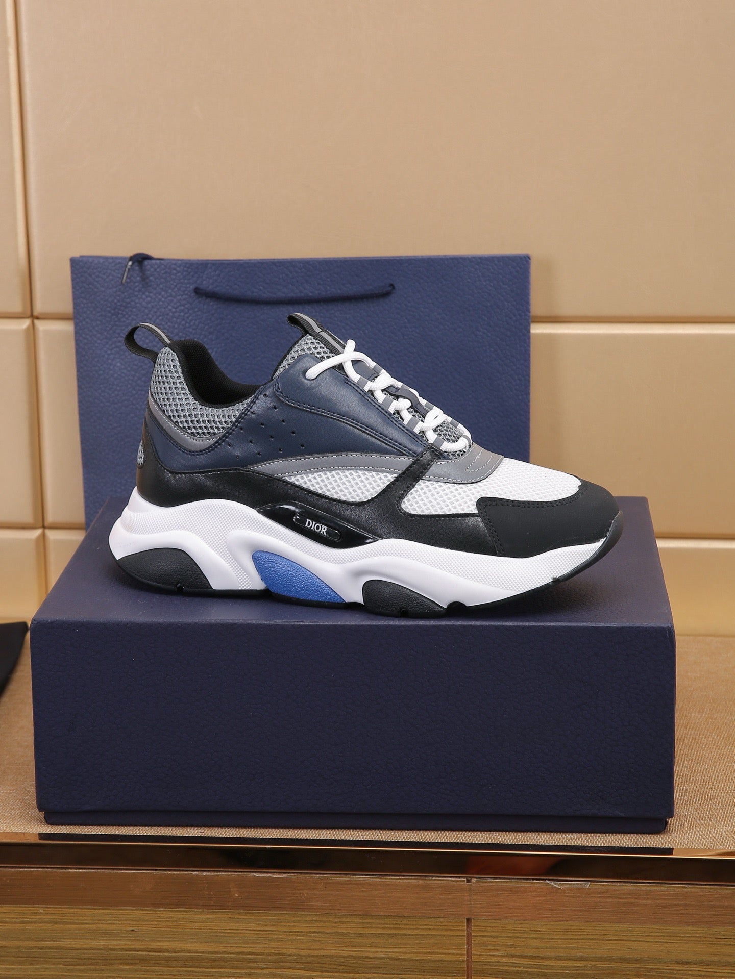 DIOR B22 White Black Blue