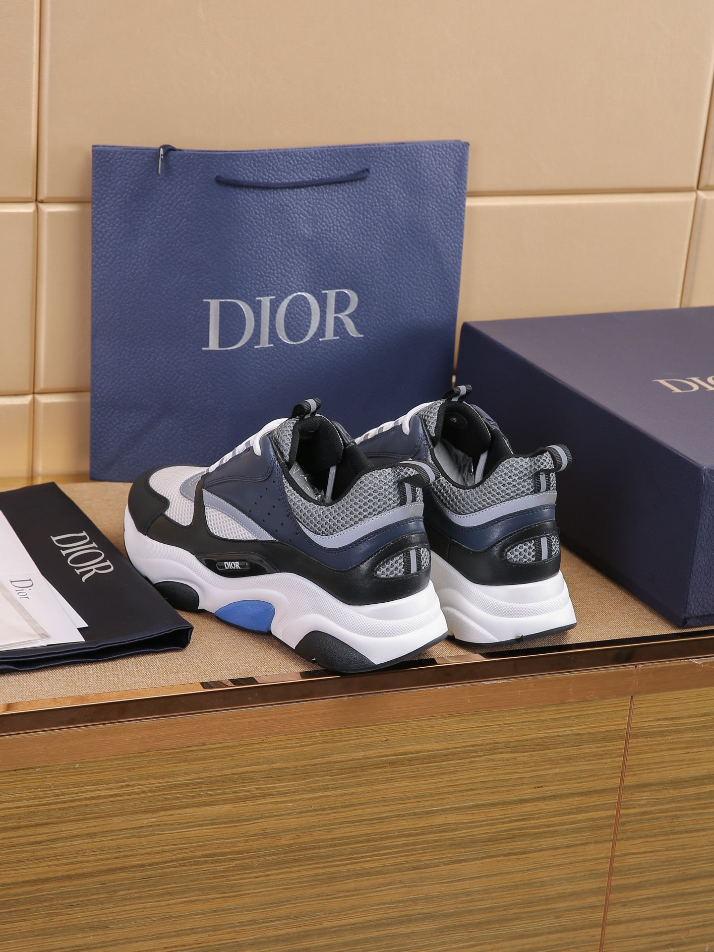 DIOR B22 White Black Blue