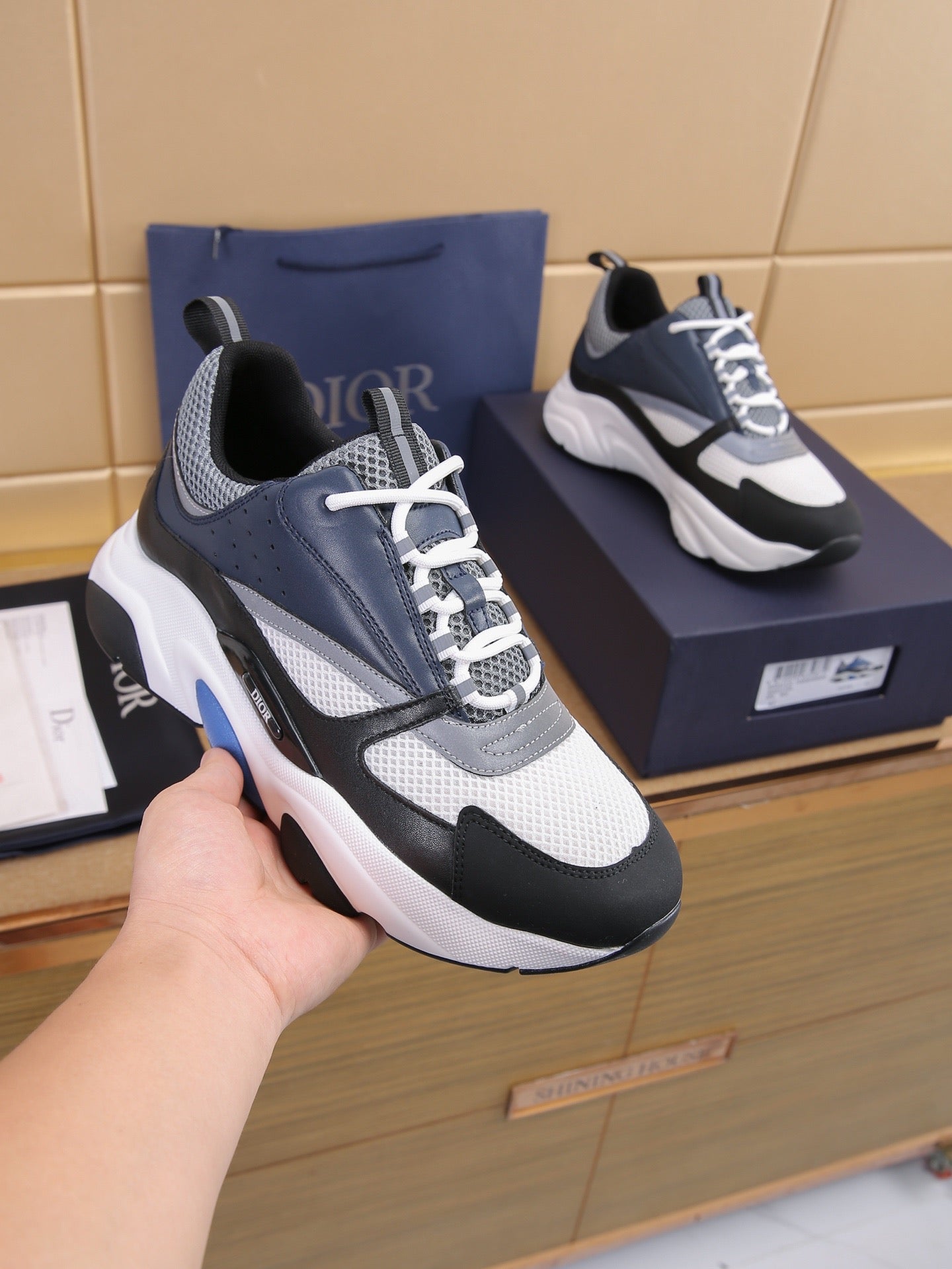 DIOR B22 White Black Blue