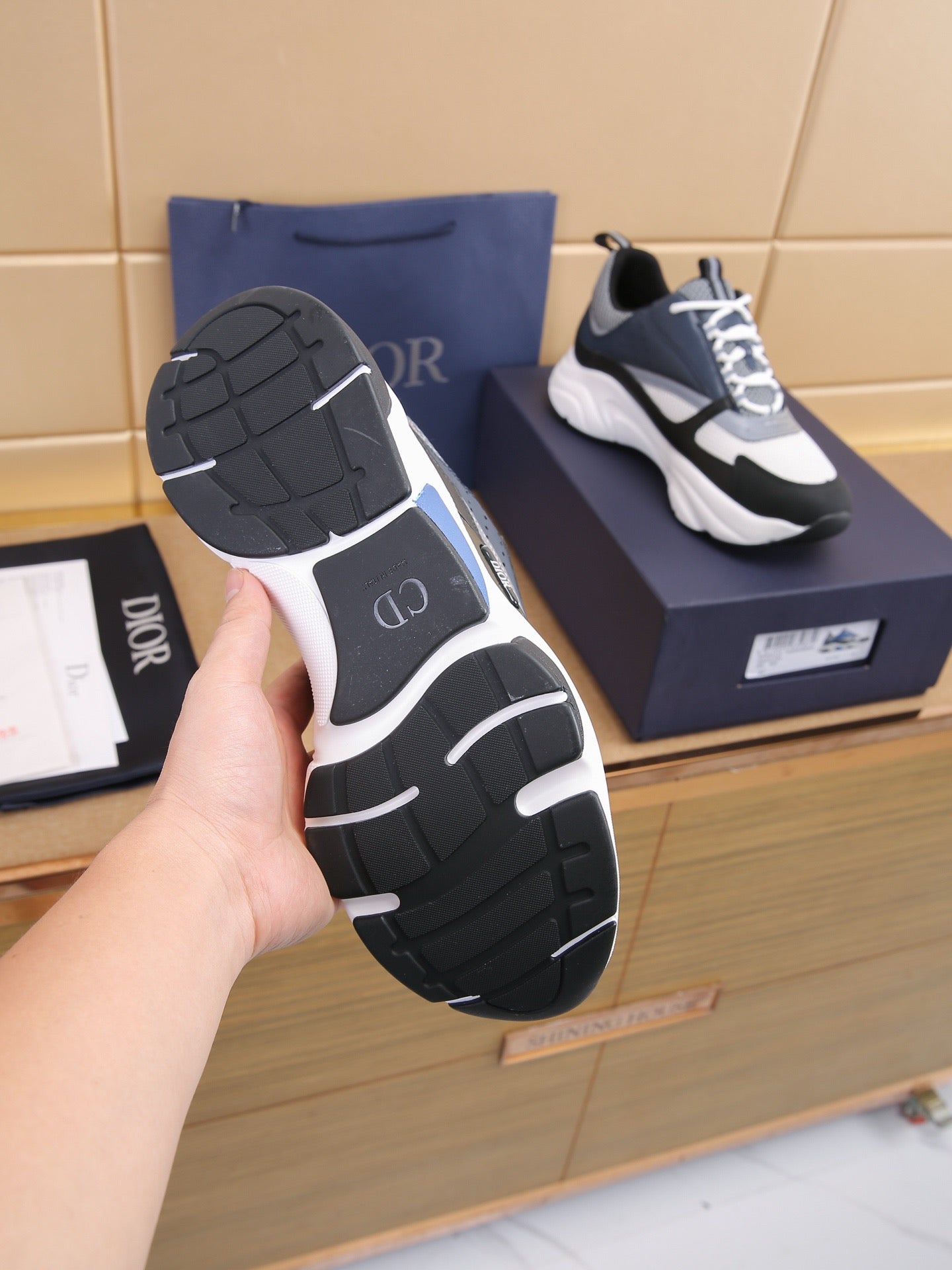 DIOR B22 White Black Blue