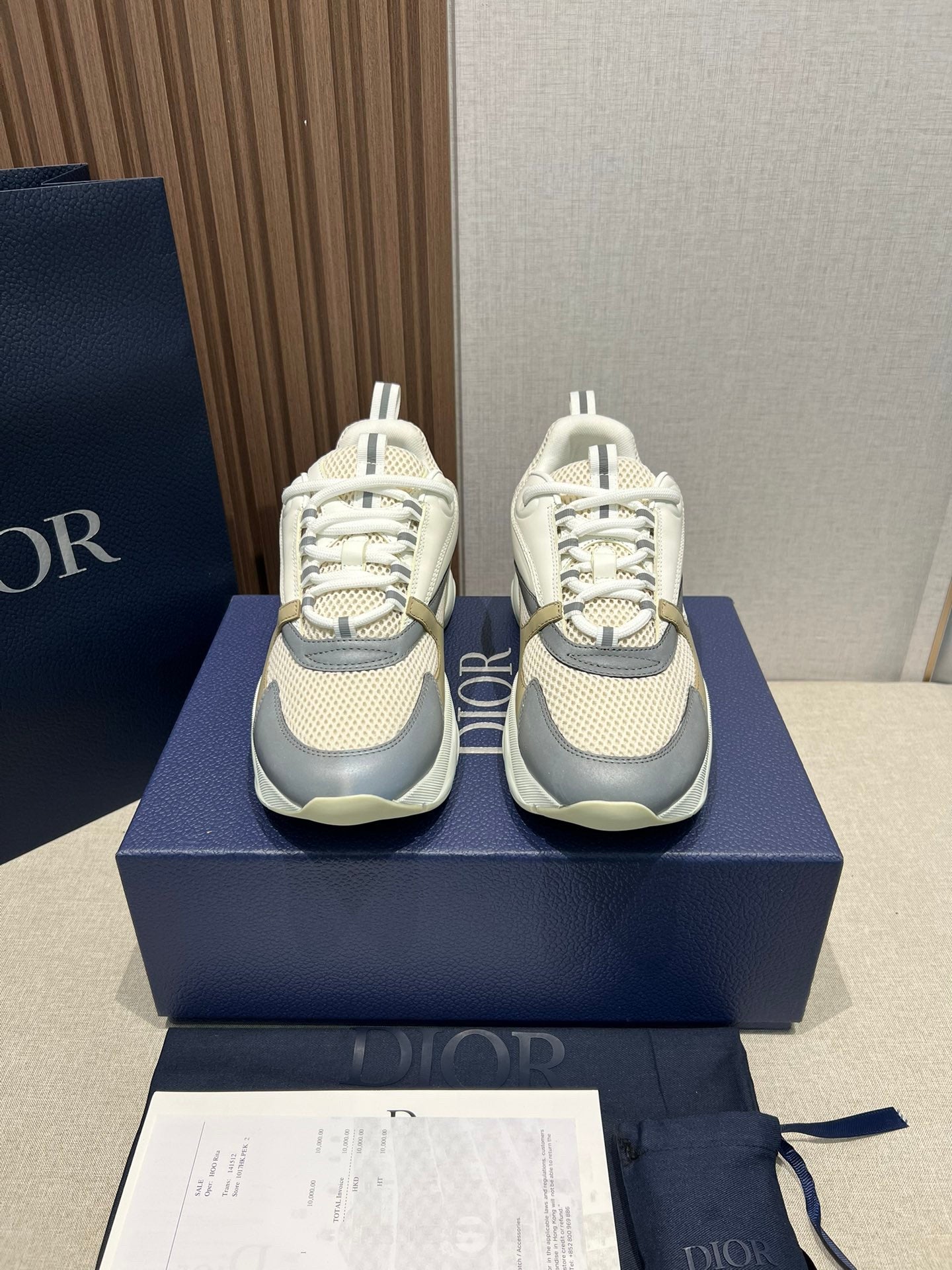 DIOR B22 White zongzi