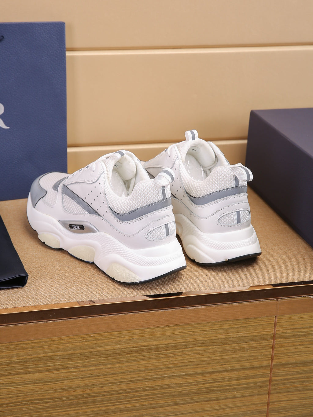 DIOR B22 ash
