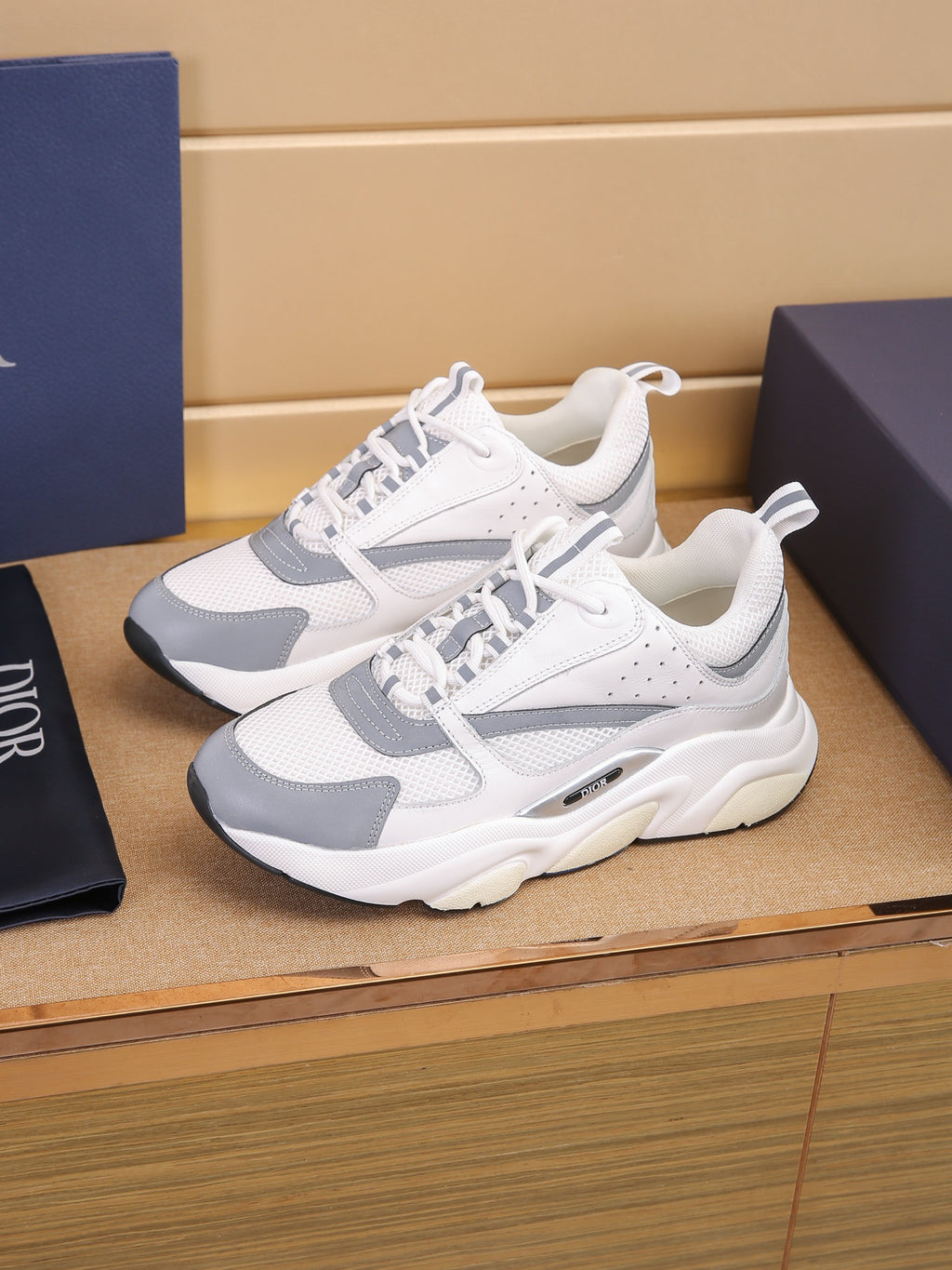 DIOR B22 ash