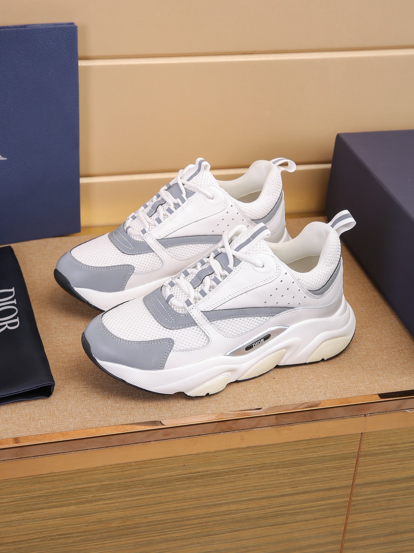 DIOR B22 ash
