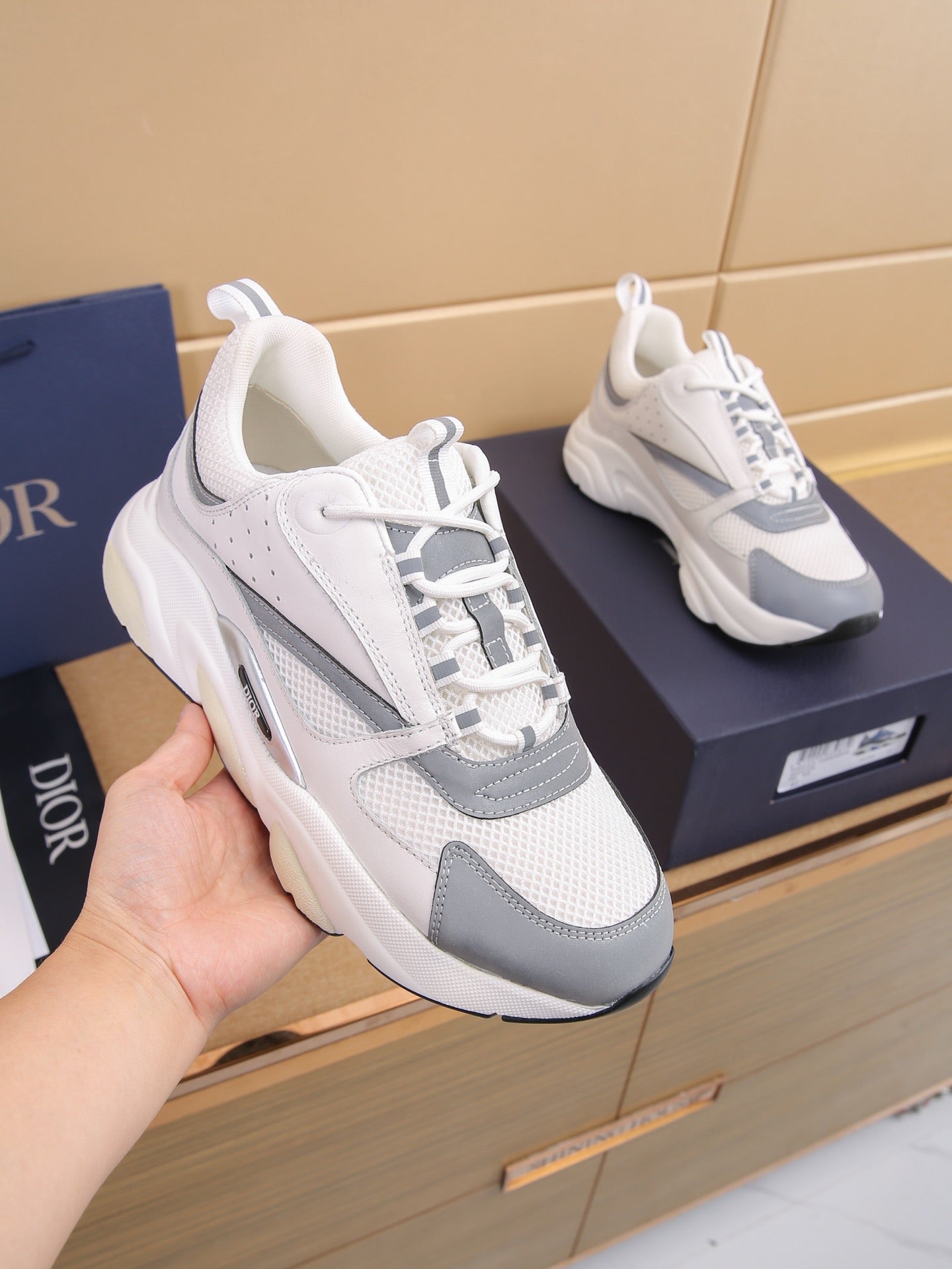 DIOR B22 ash