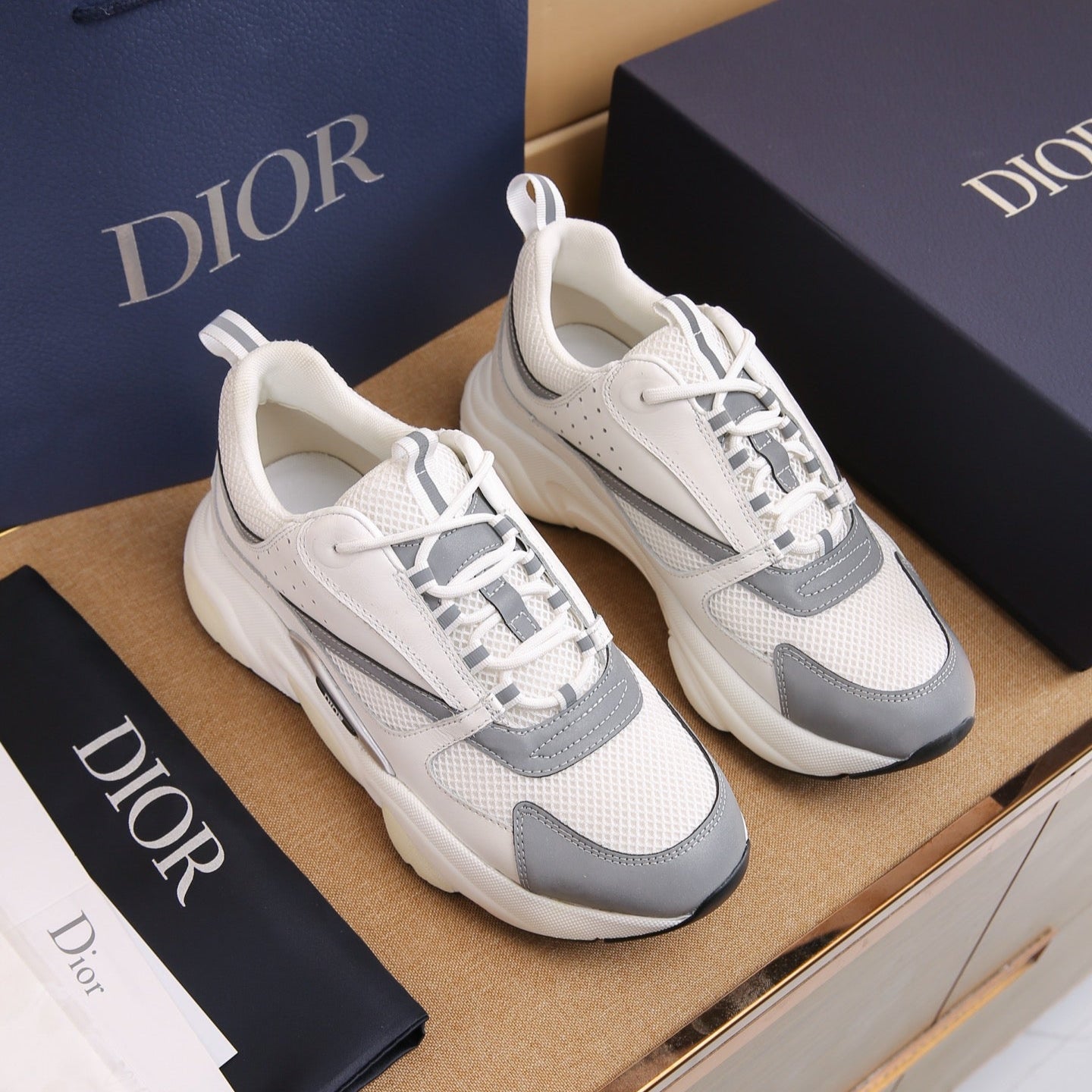 DIOR B22 ash