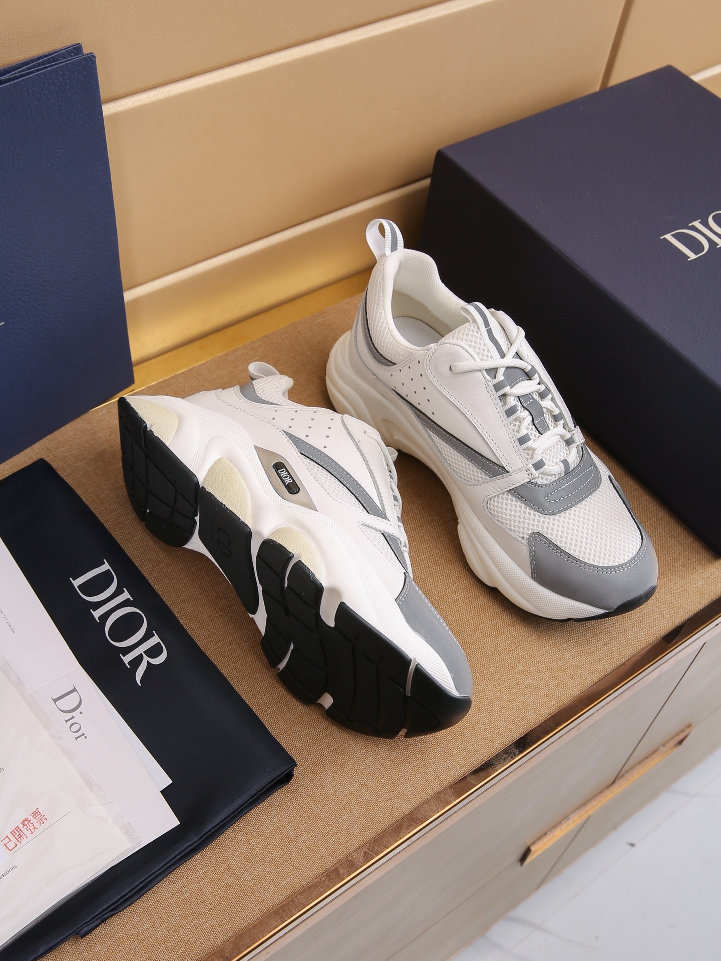 DIOR B22 ash