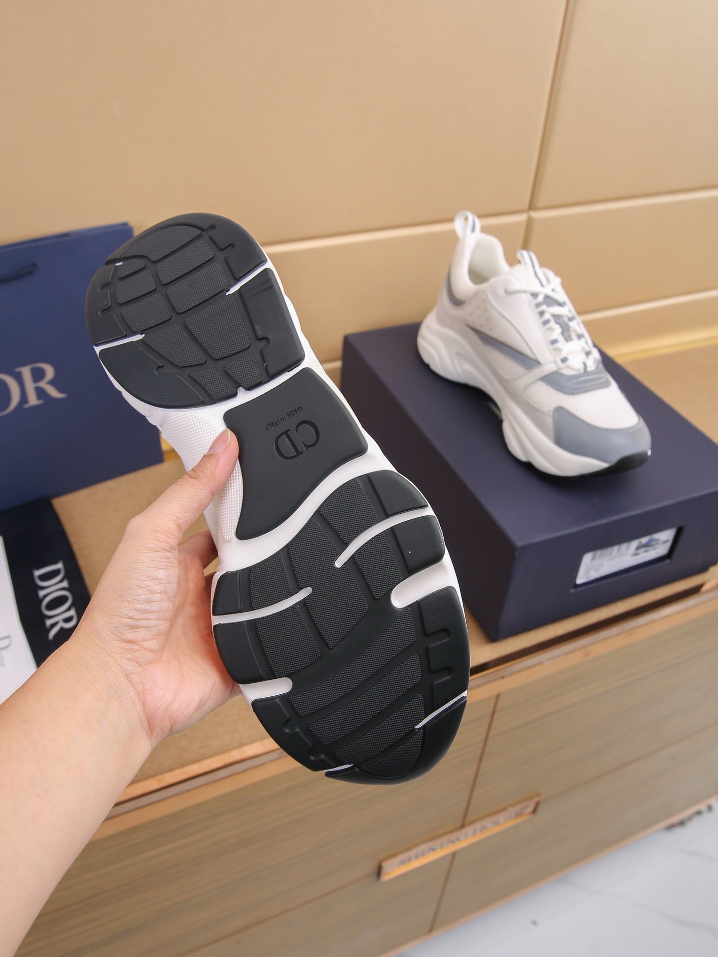 DIOR B22 ash