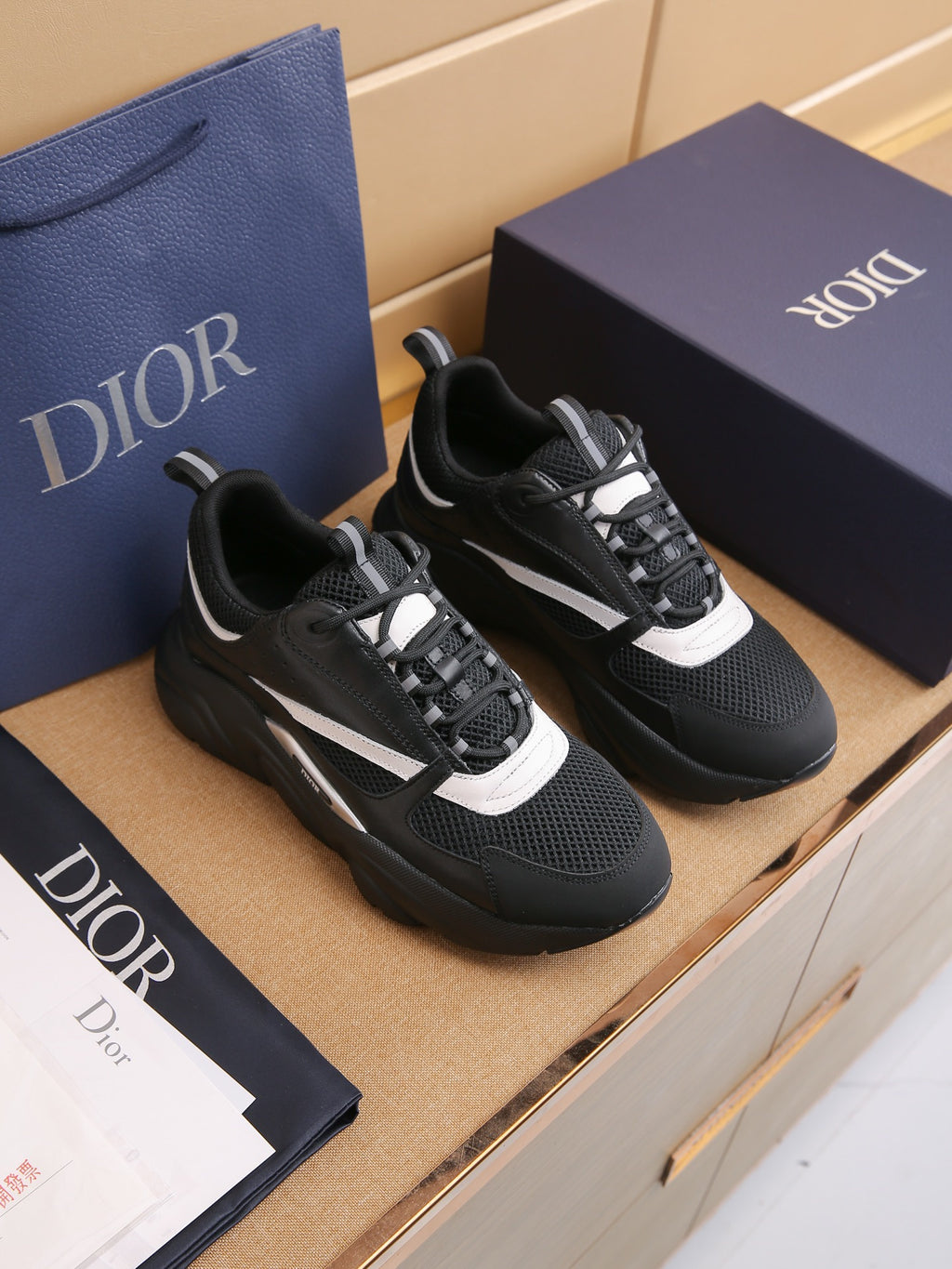 DIOR B22 all black