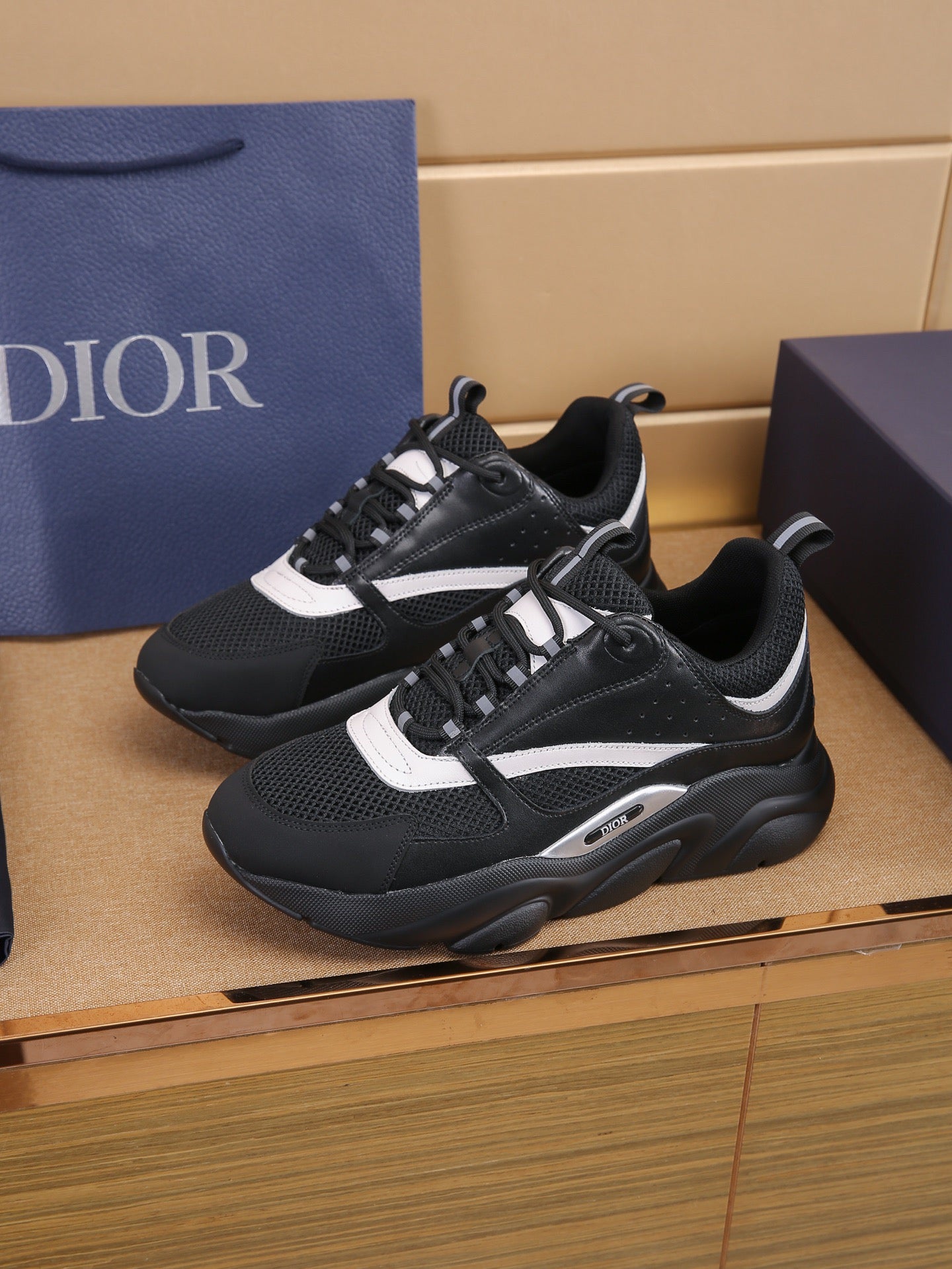 DIOR B22 all black