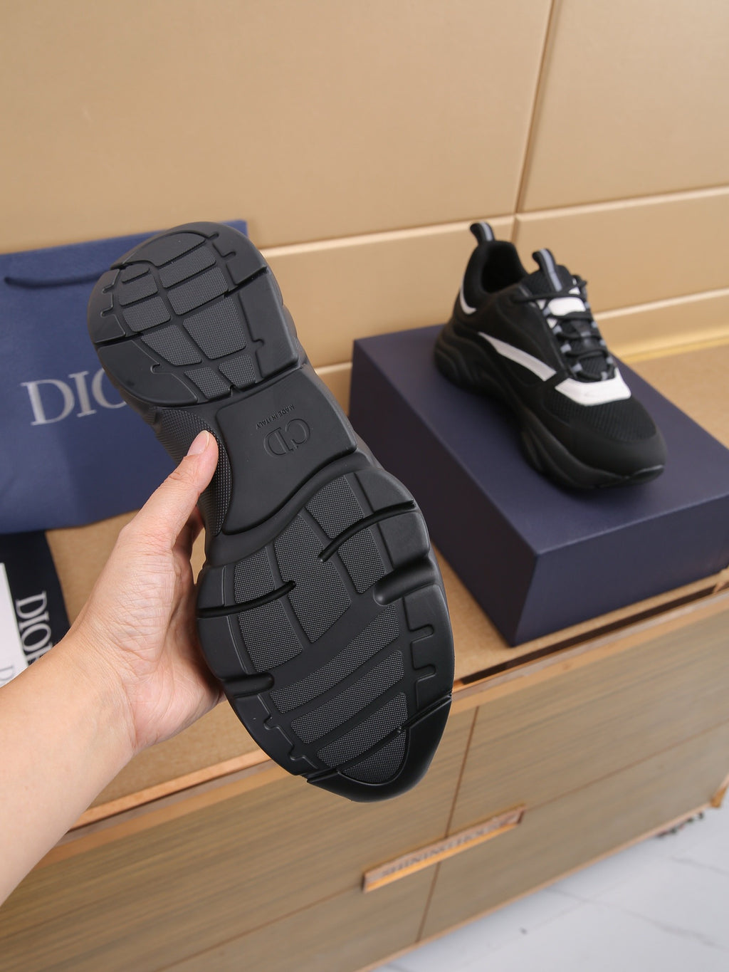 DIOR B22 all black