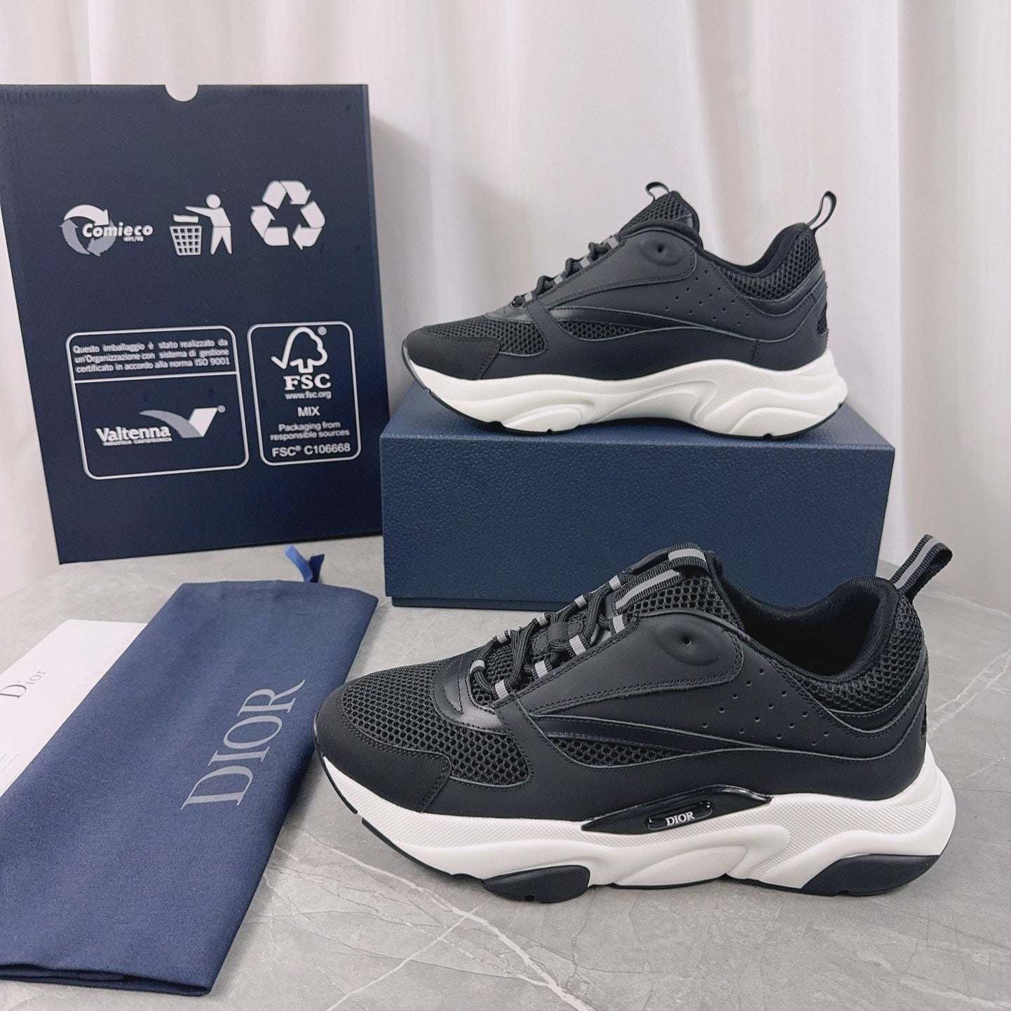 DIOR B22 black and white