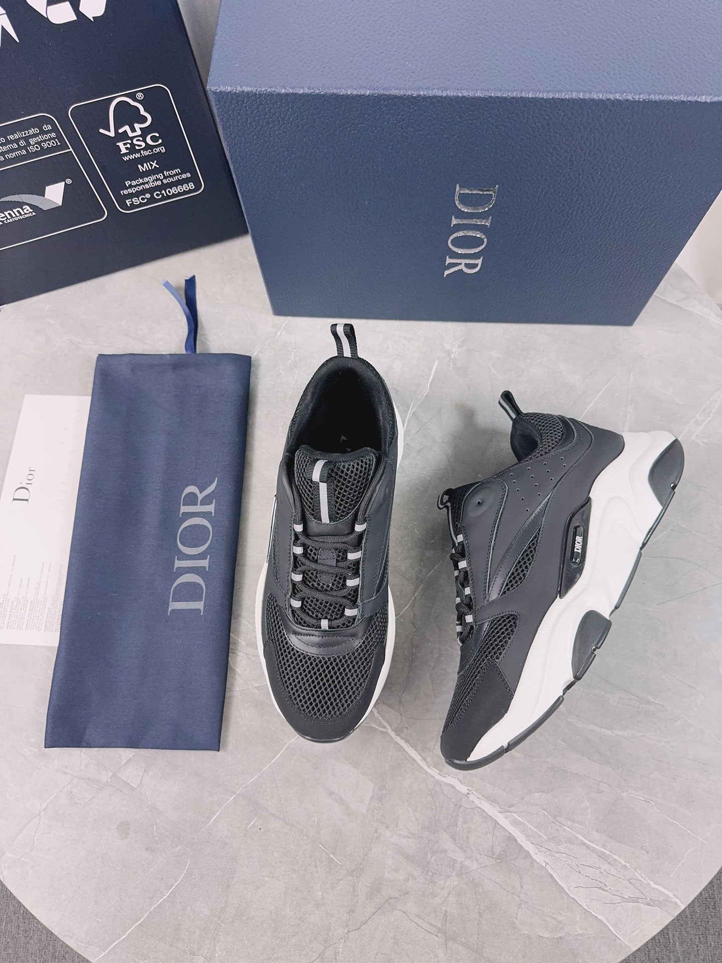 DIOR B22 black and white