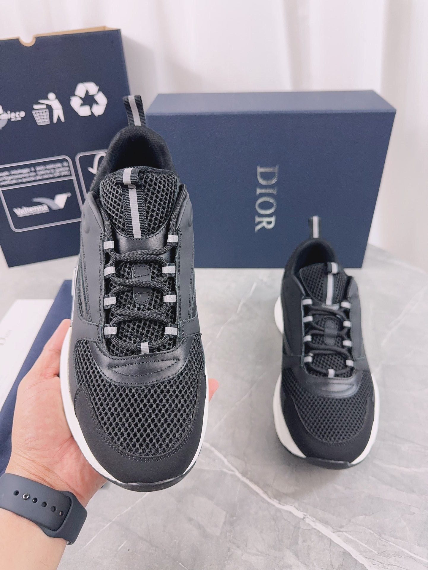 DIOR B22 black and white