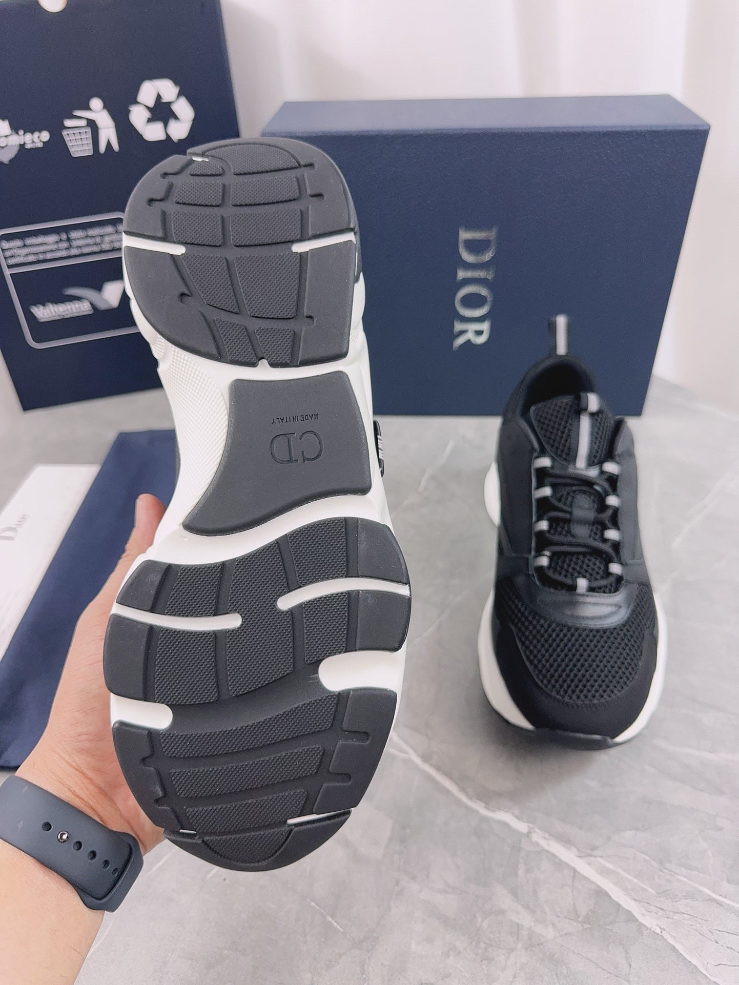 DIOR B22 black and white
