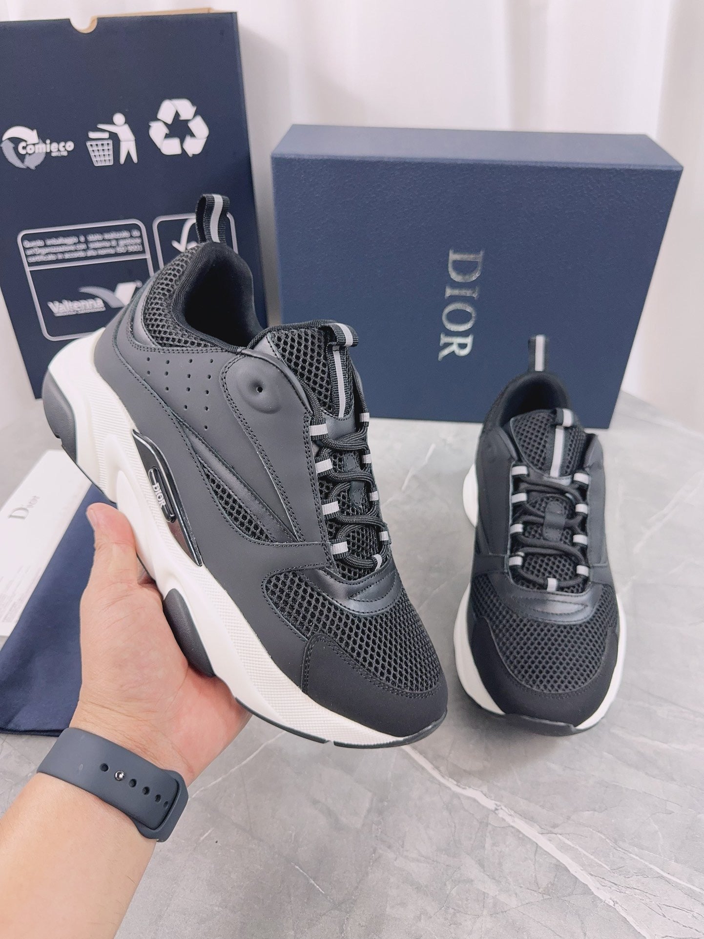 DIOR B22 black and white