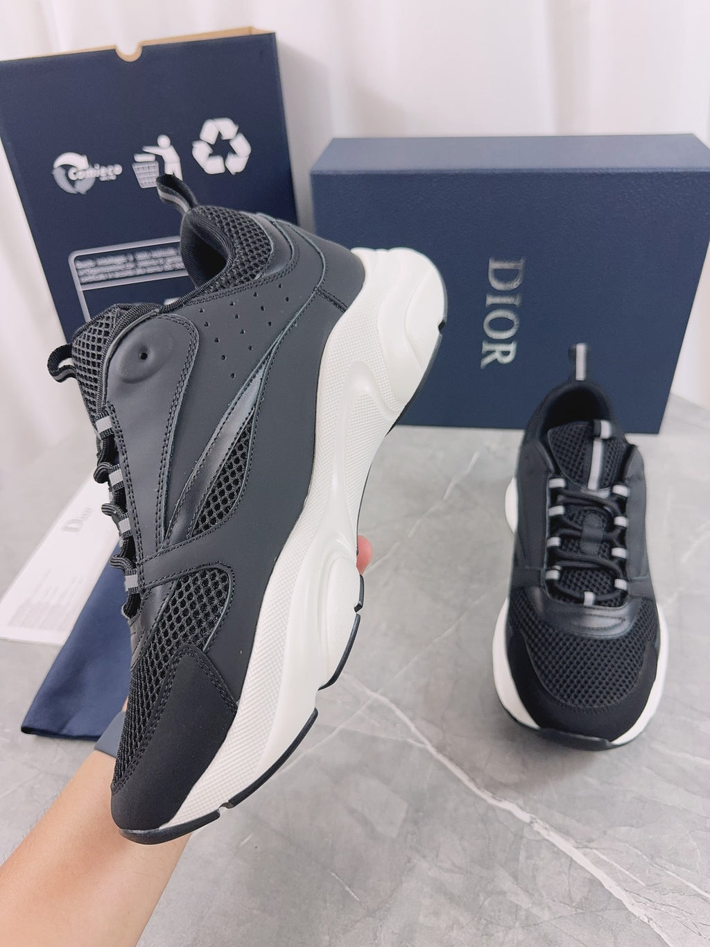 DIOR B22 black and white