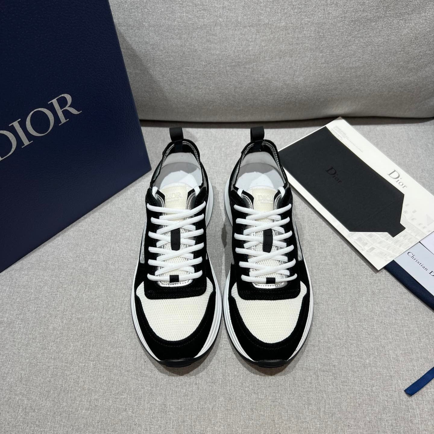 DIOR B25 White Black