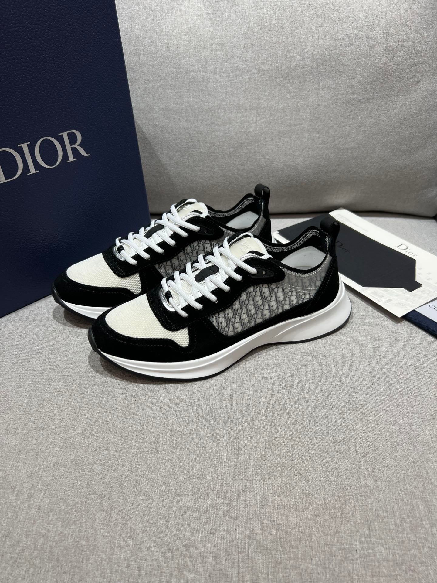 DIOR B25 White Black