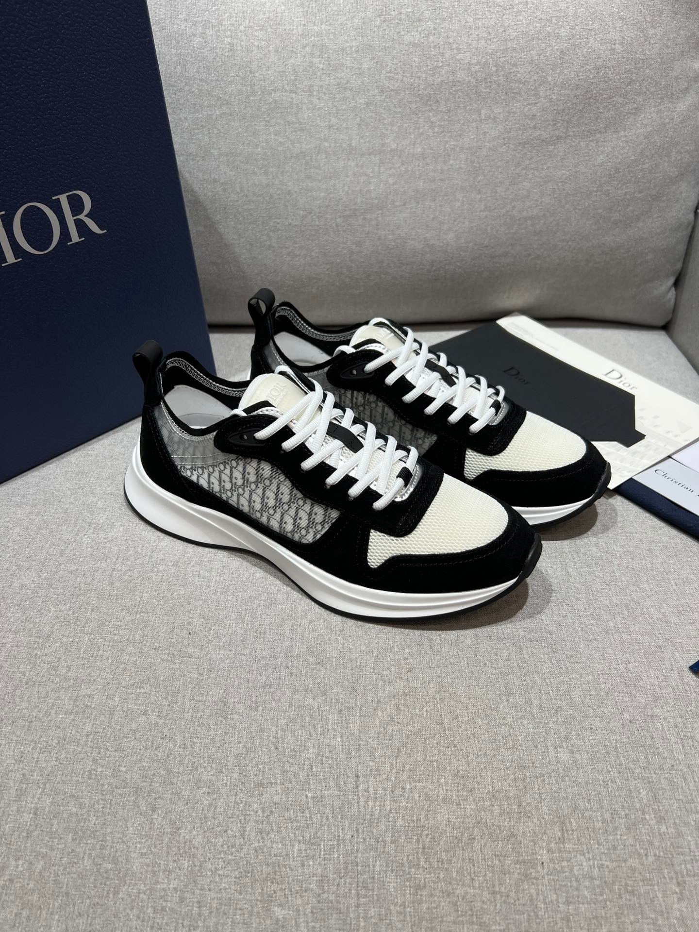 DIOR B25 White Black