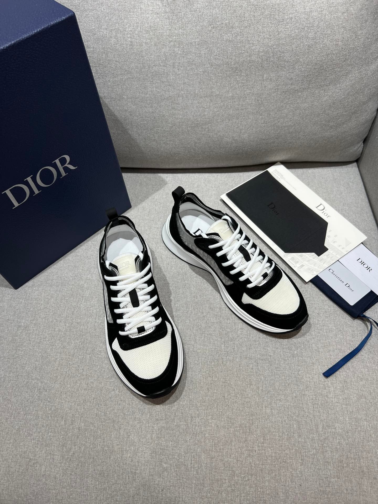 DIOR B25 White Black