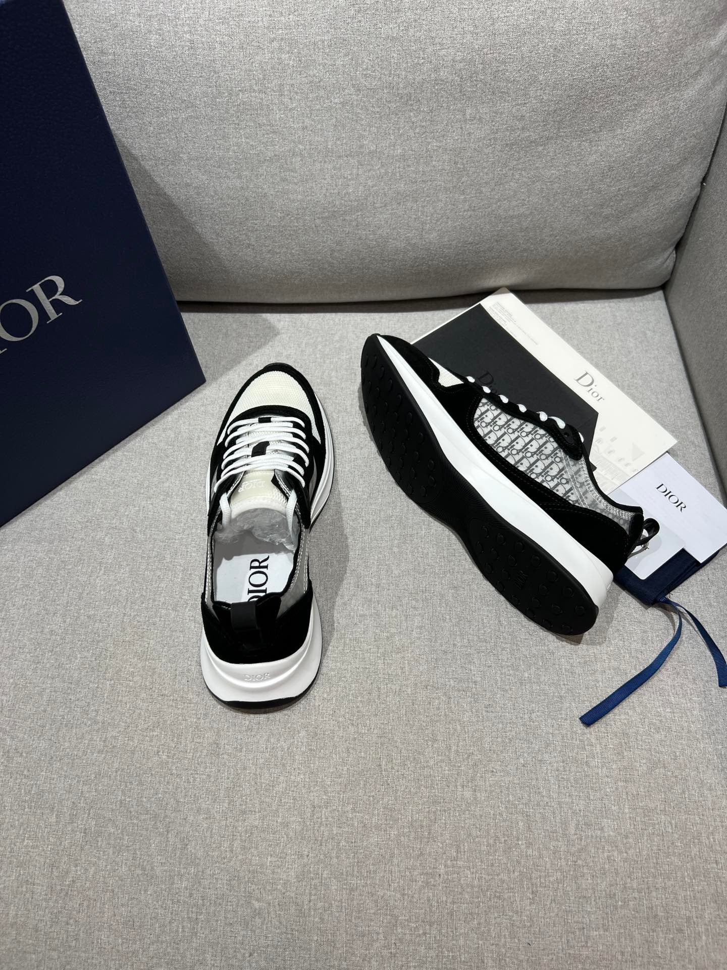 DIOR B25 White Black