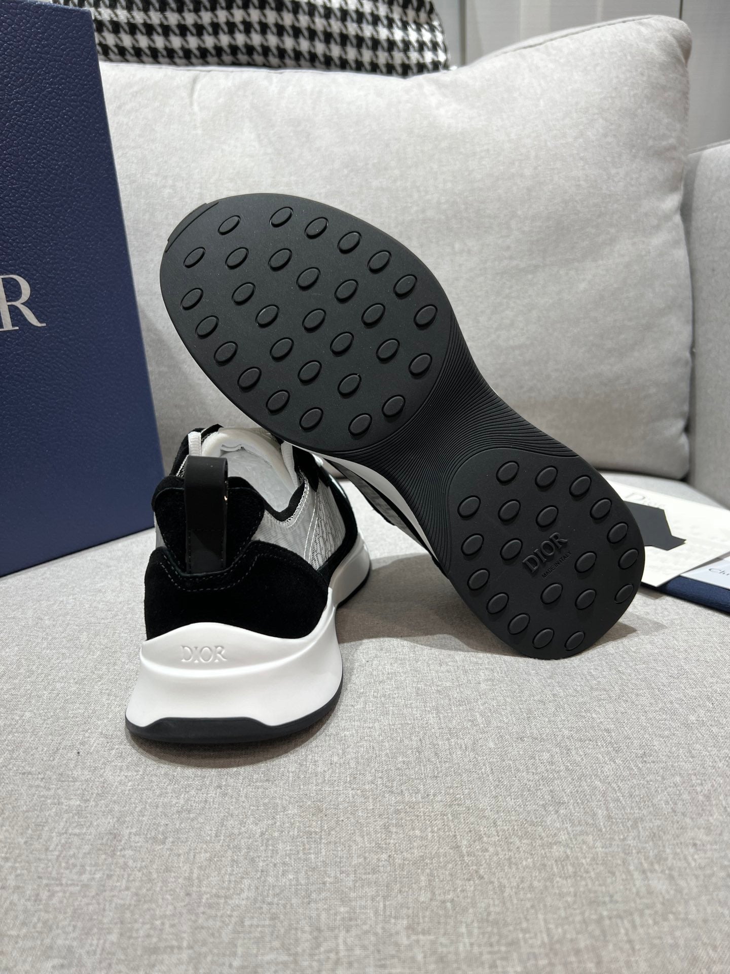 DIOR B25 White Black