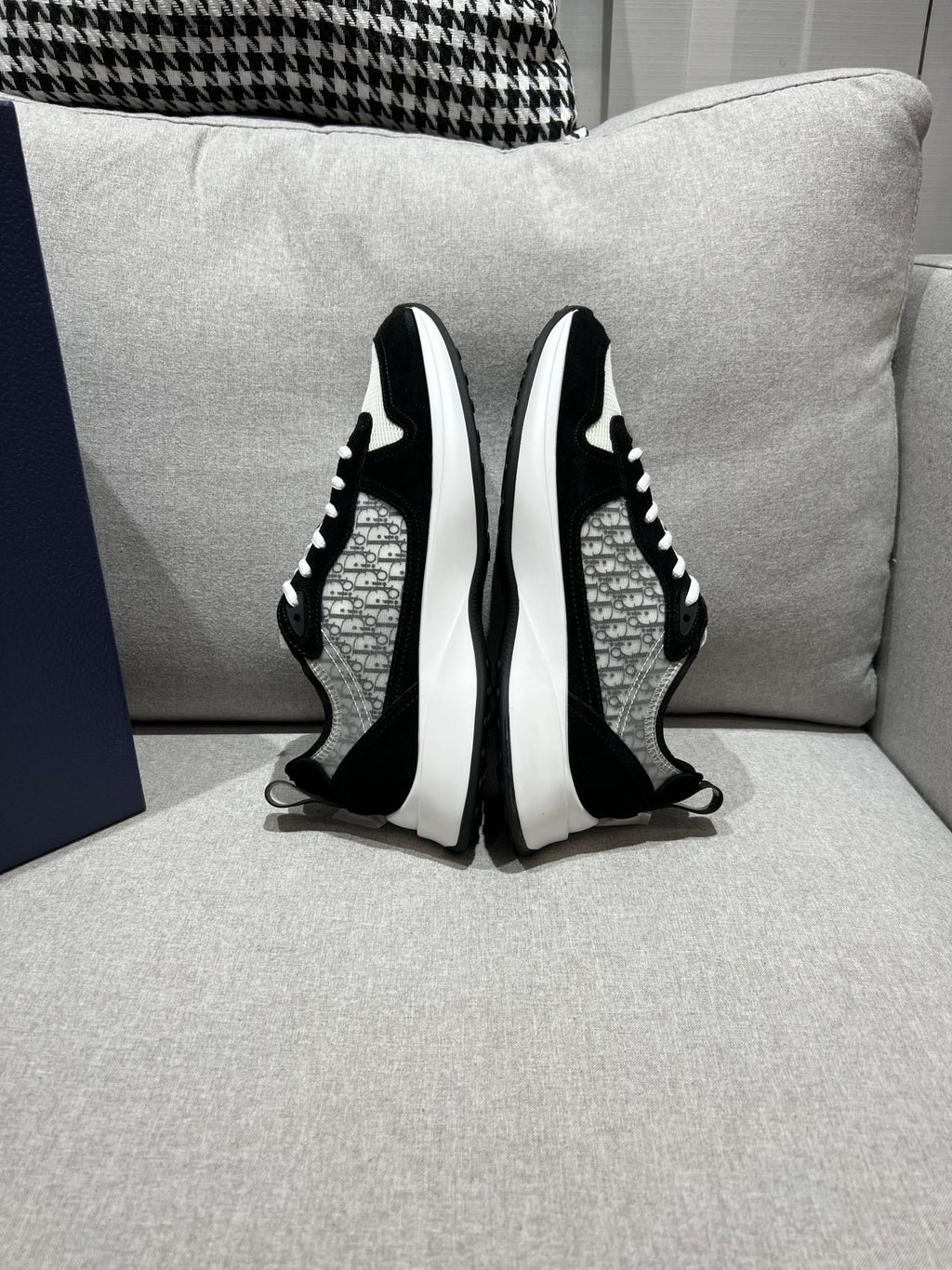 DIOR B25 White Black