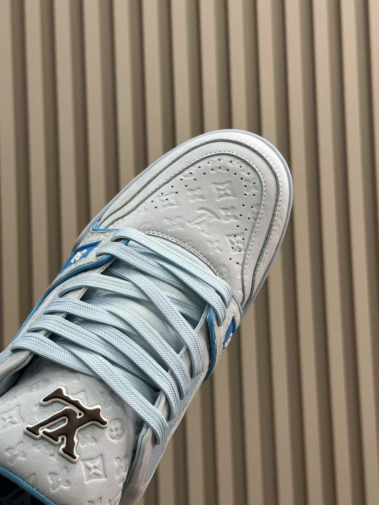 LV Trainer by Tyler, the Creator bule