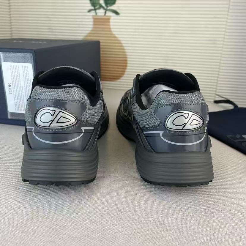 DIOR B30 Light Gray